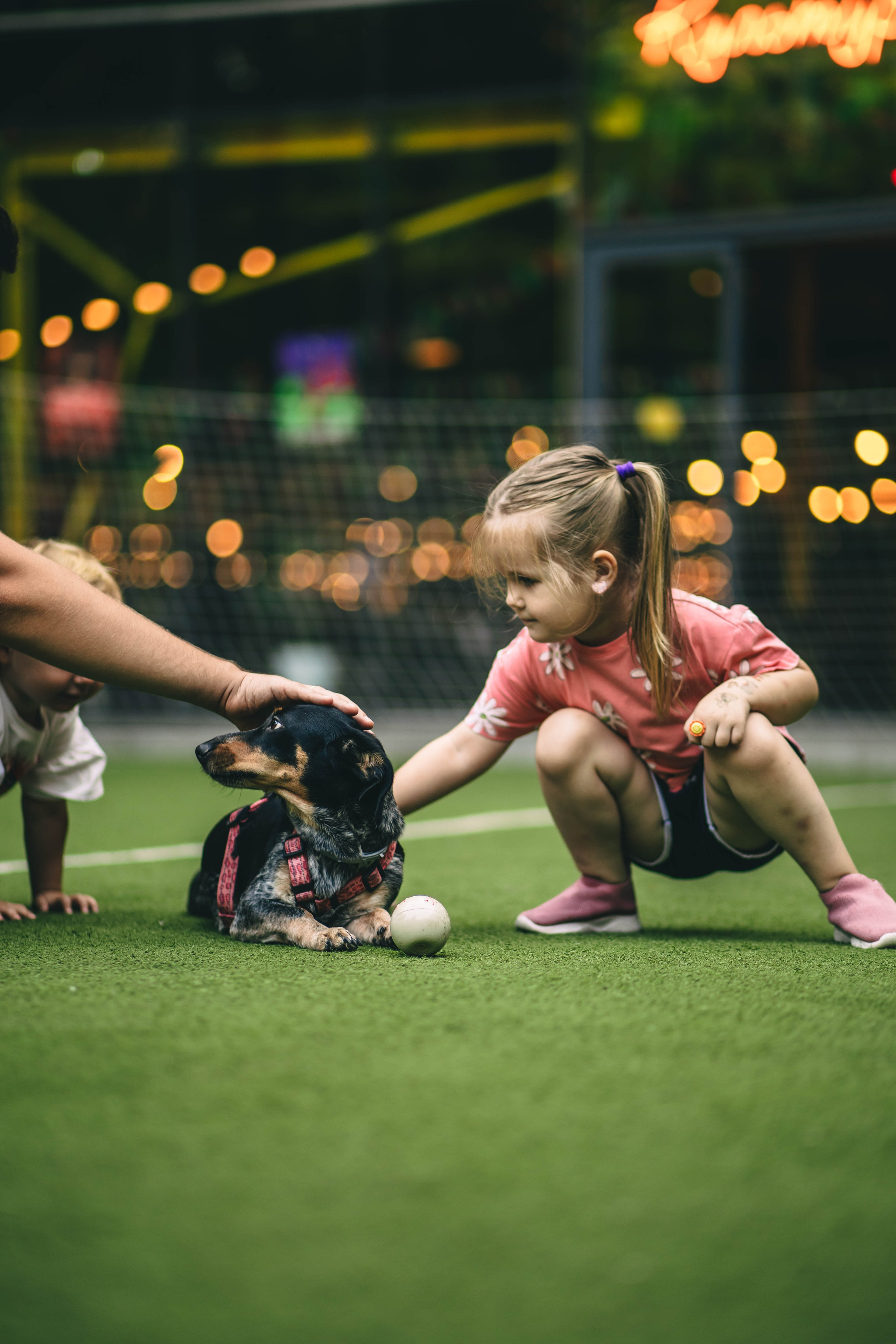 Pet-Party + Live-music |Парк Культуры. Фотограф в Ставрополе Алина Клочкова