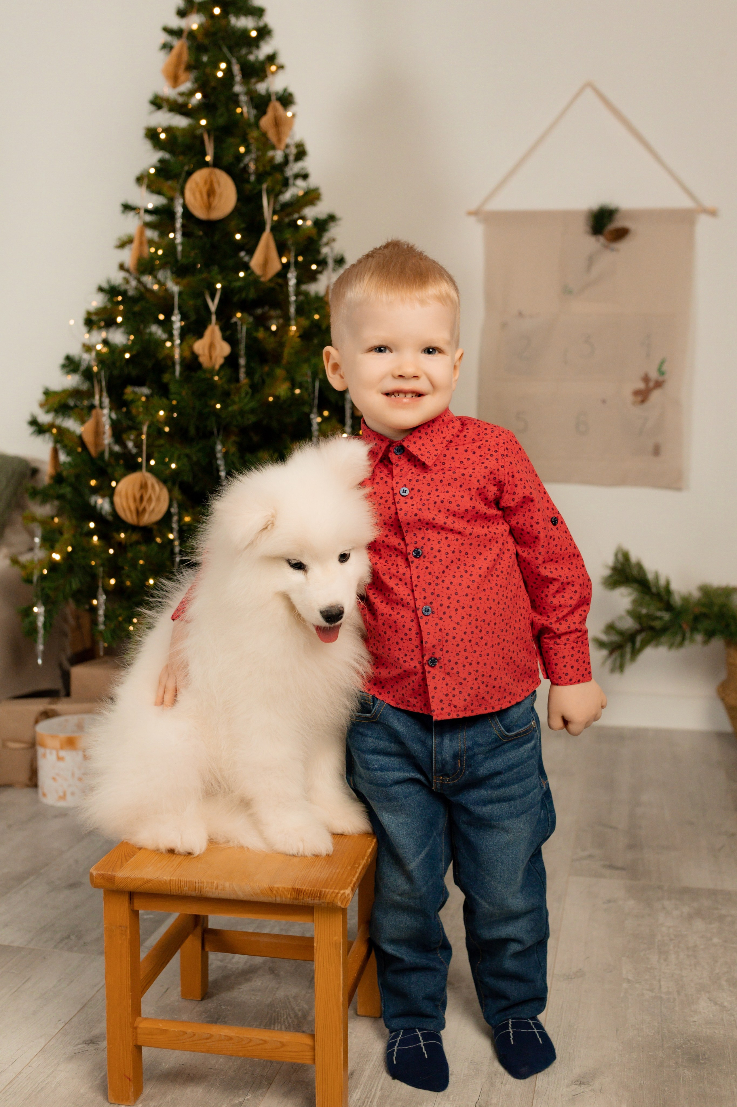 Новогодние съёмки. Интерьерная фотостудия в г. Барнаул