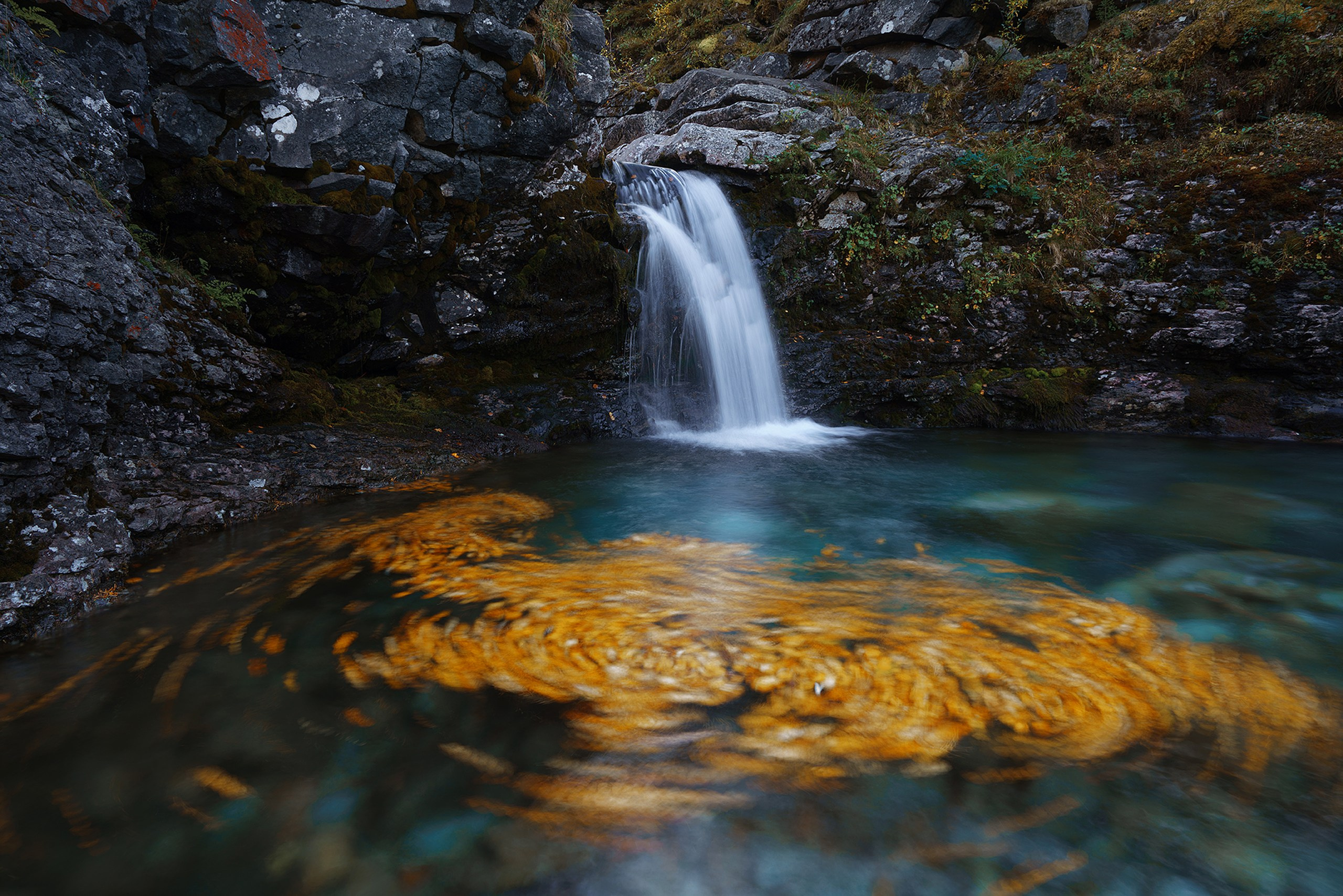 Кольский. Карелия. Фотограф в Красноярске Нерозя Александр. Пейзаж, природа, портрет