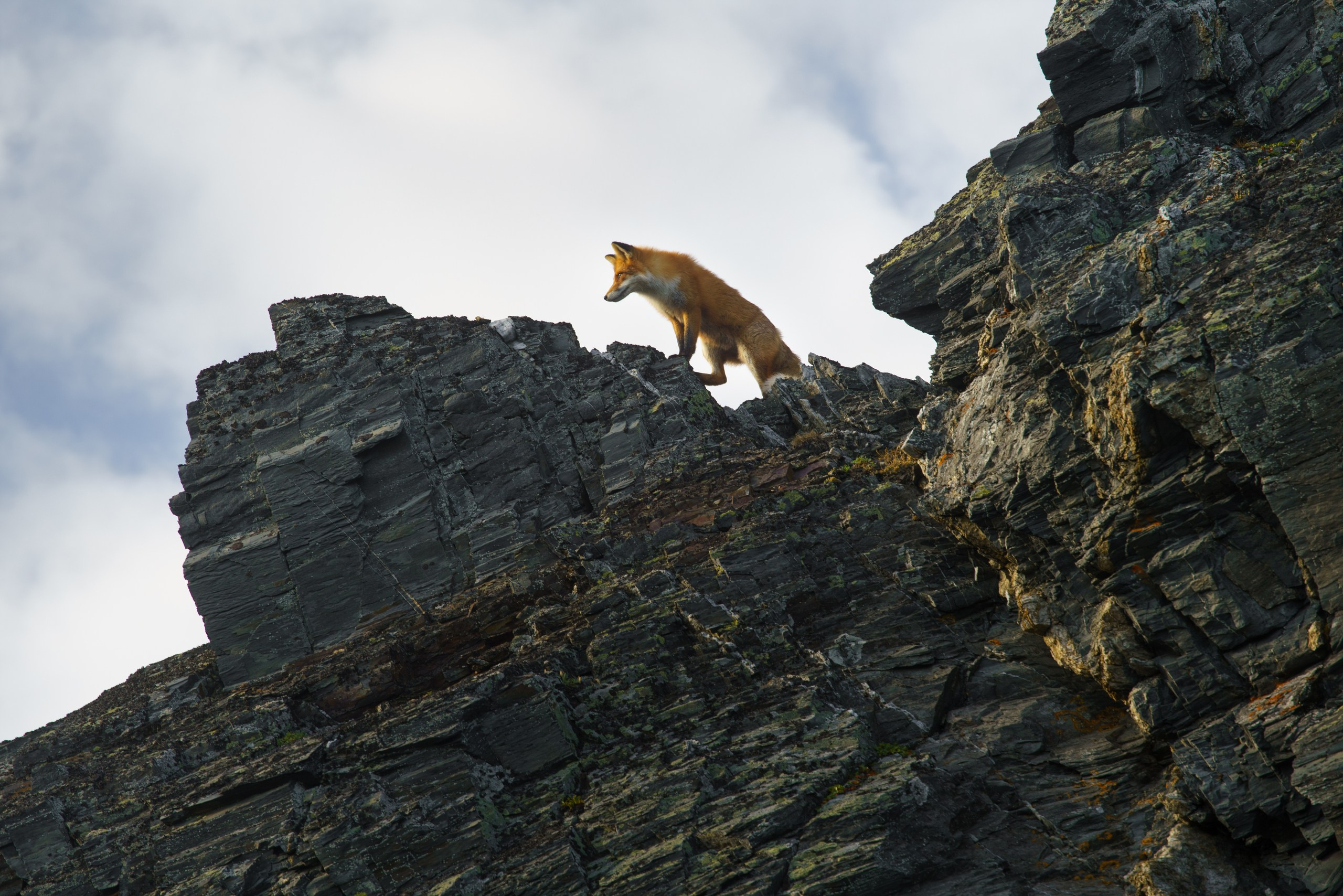 Кольский. Карелия. Фотограф в Красноярске Нерозя Александр. Пейзаж, природа, портрет
