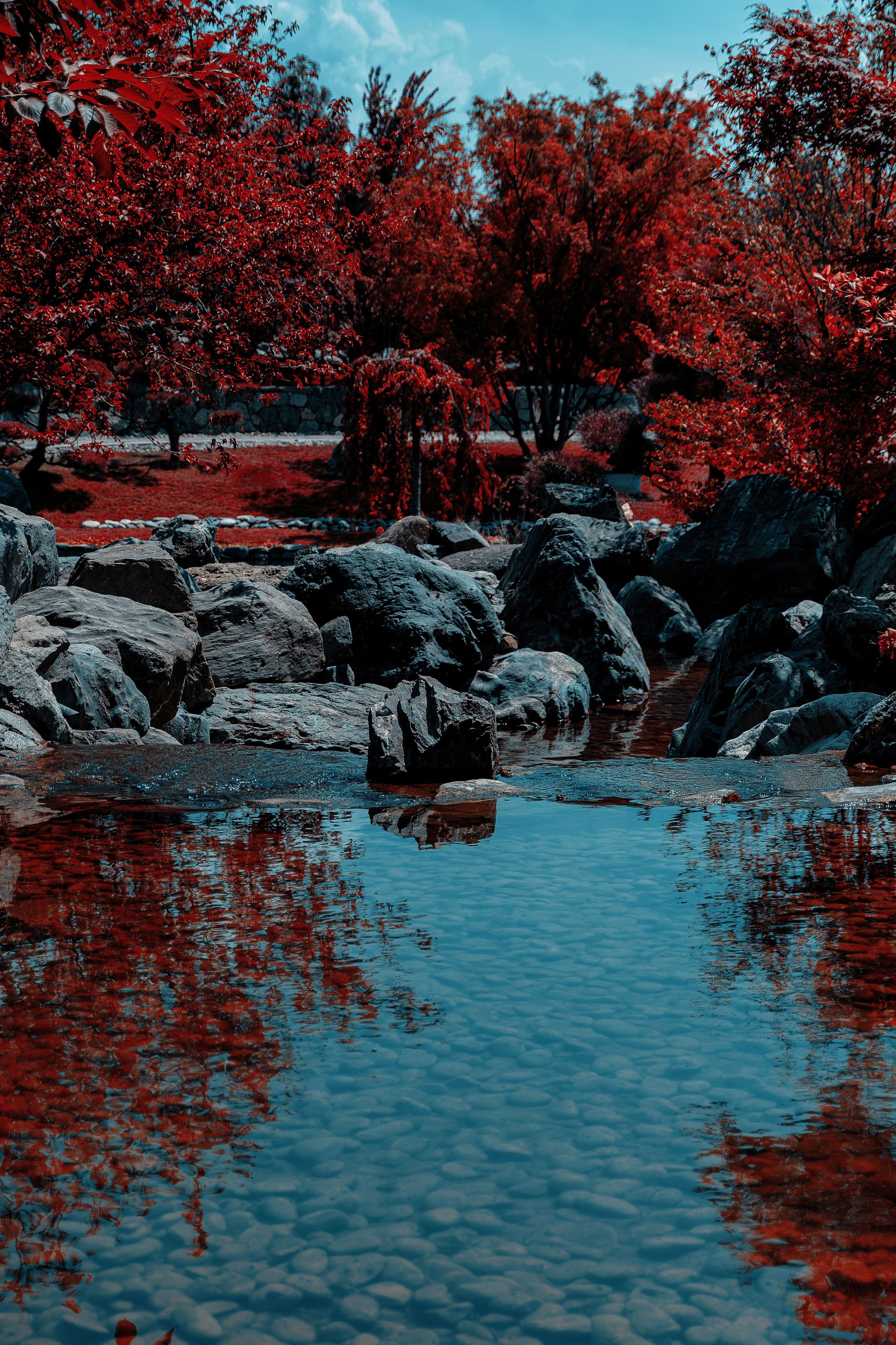 Фотосессия в японском стиле в краснодаре в парке Галицкого. прекрасный образ гейши и женская эстетика. Красивая природа Японии. 