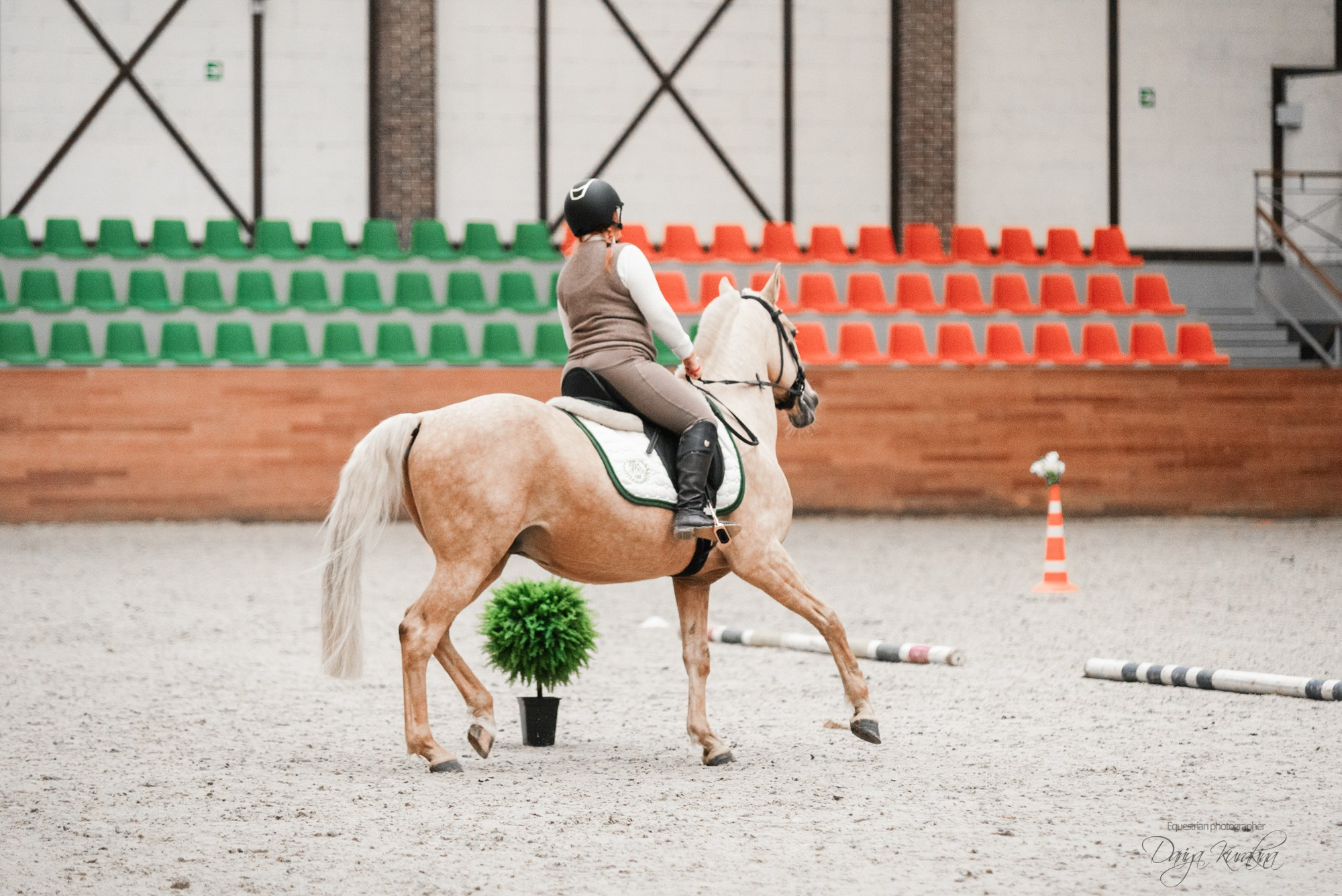 8-я международная выставка Конная Россия. Конный фотограф Куракина Дарья • Фотосессии с лошадьми