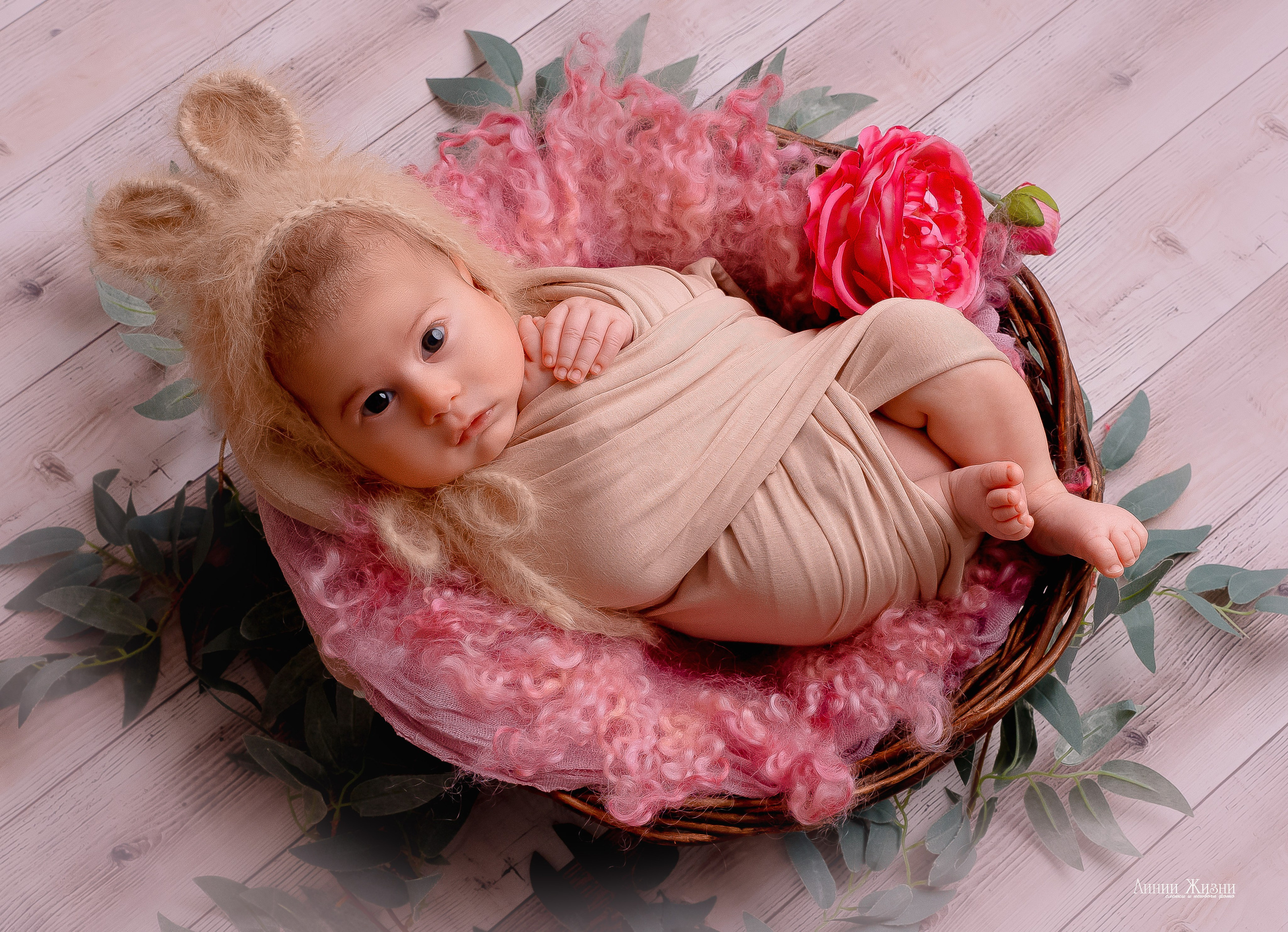 Фотосессии новорожденных студия Линии Жизни. Фотограф новорожденных в Нижнем Новгороде Сергеева Оксана