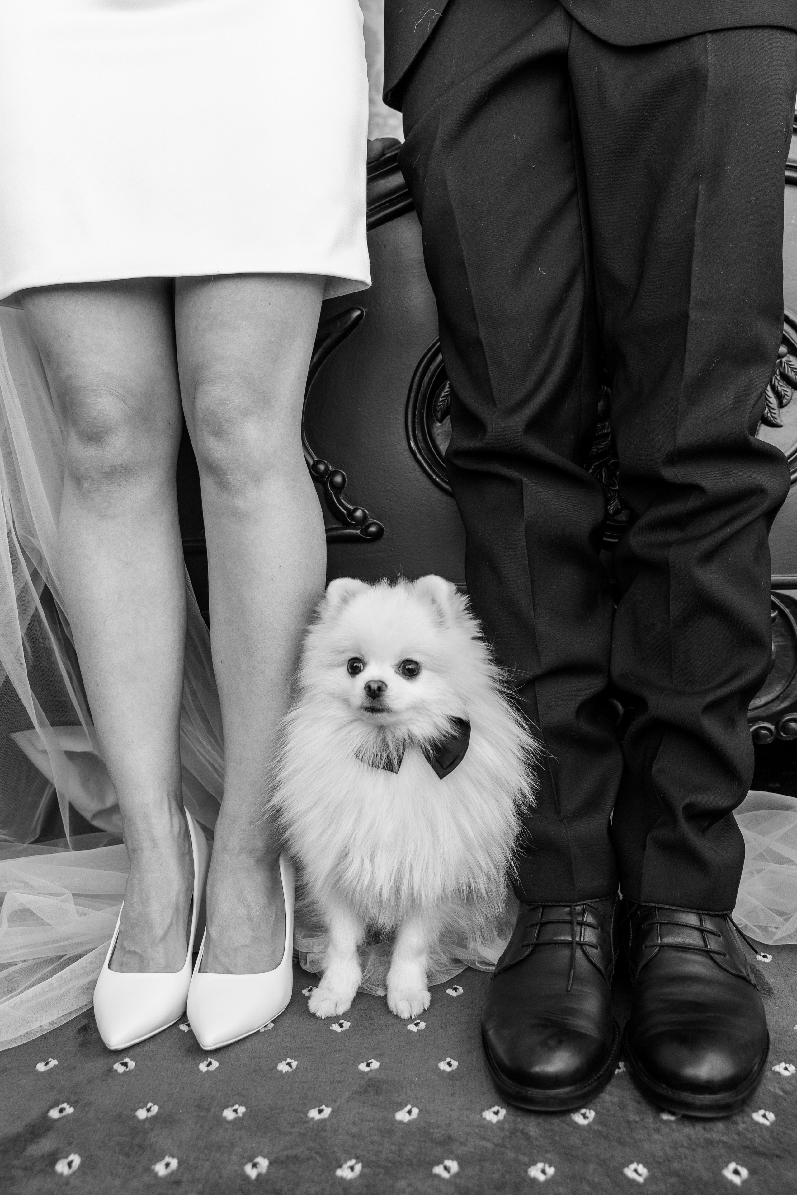 Профессиональный фотограф Юнаковская Оксана