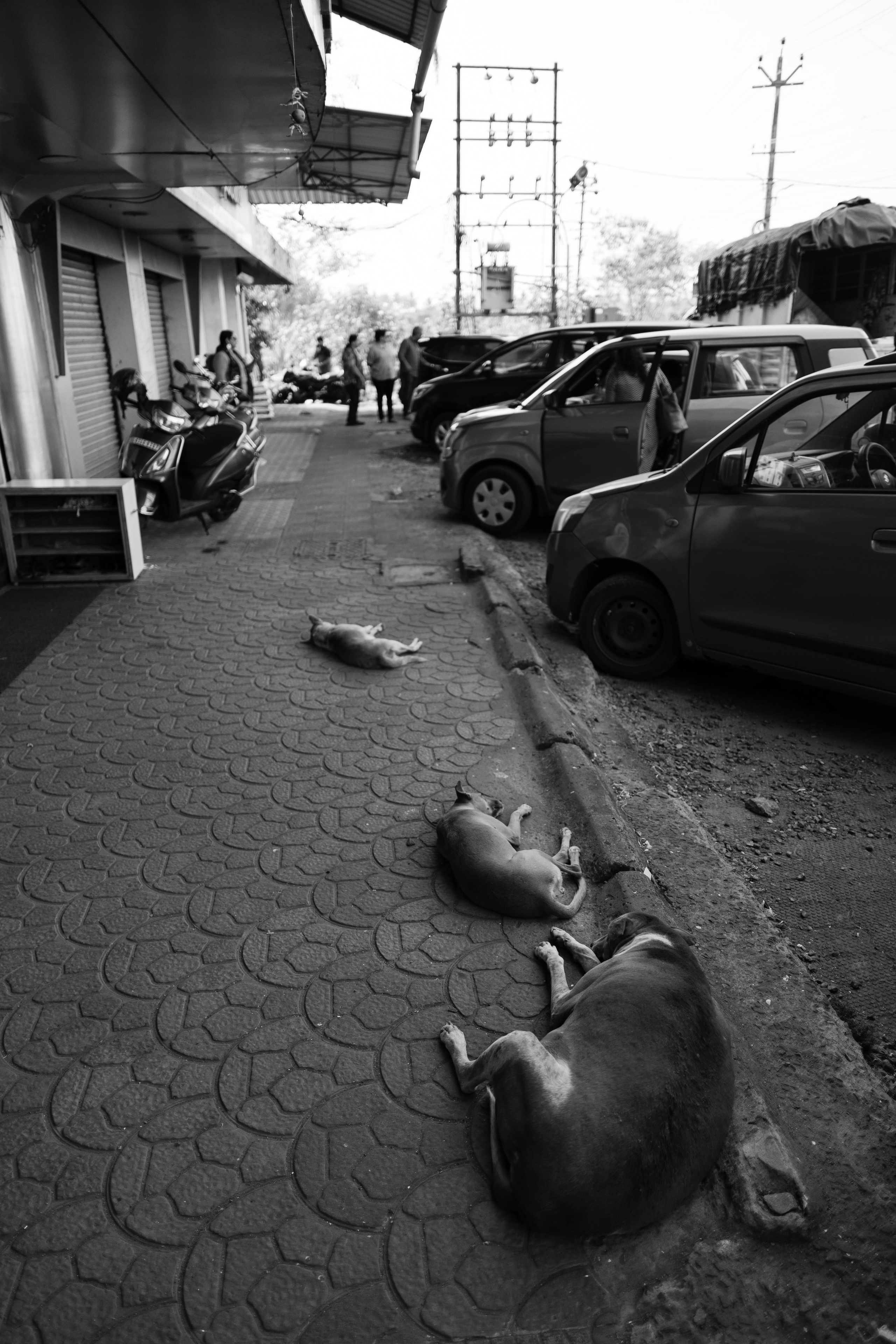 ГОА 2024. Руслан Плахтеев