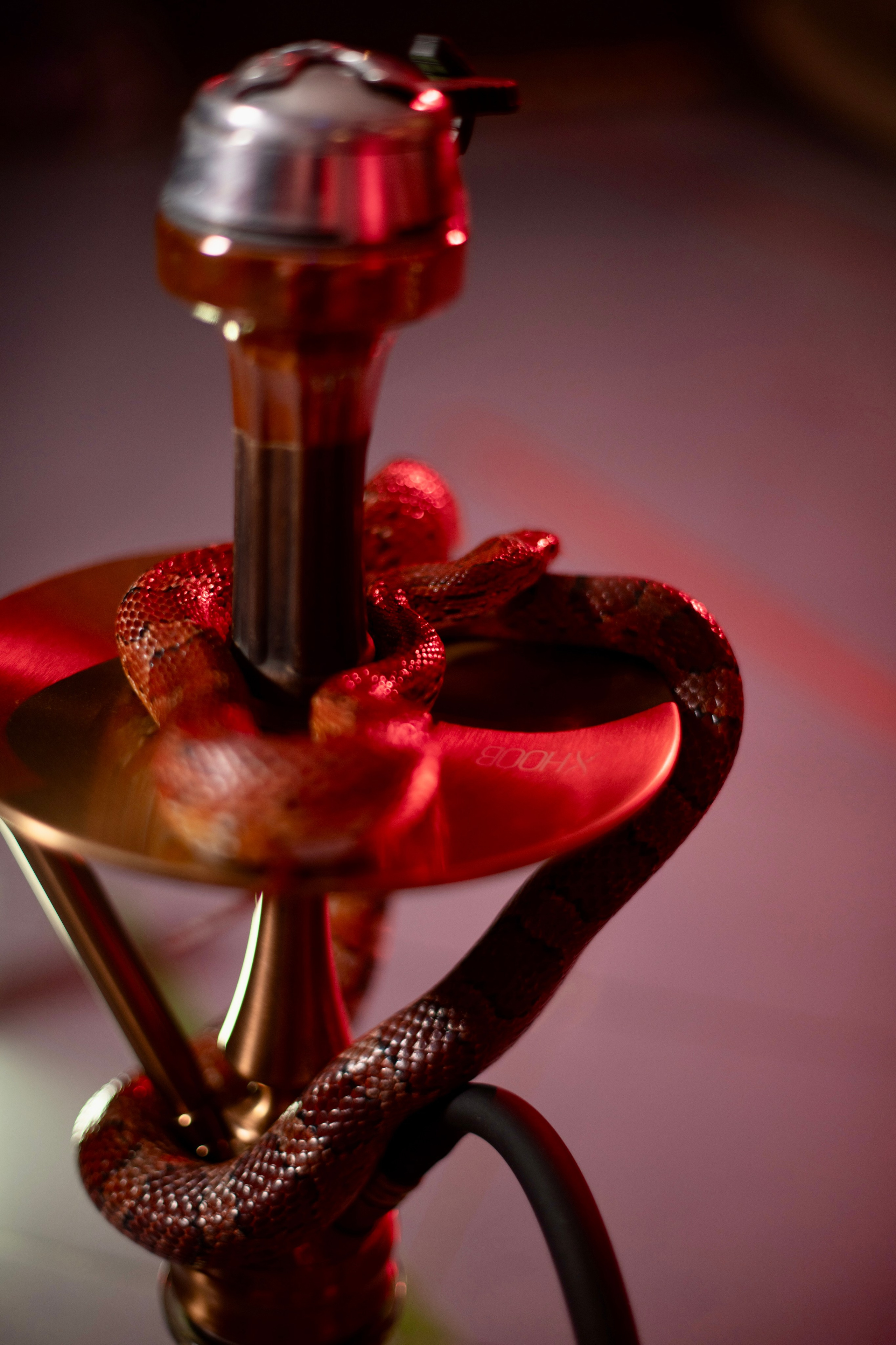 Фотосессия Анастасия. Фотограф Андрей Чеботок (Белгород, Курск, Воронеж, Старый Оскол)