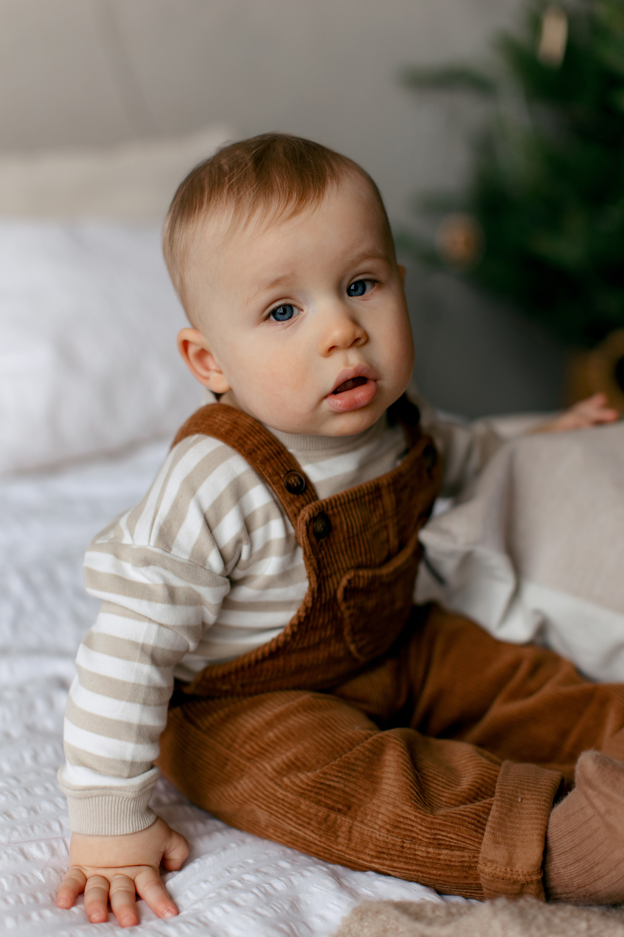 Новый год в уютной студии. Свадебный и портретный фотограф — Мария Костина