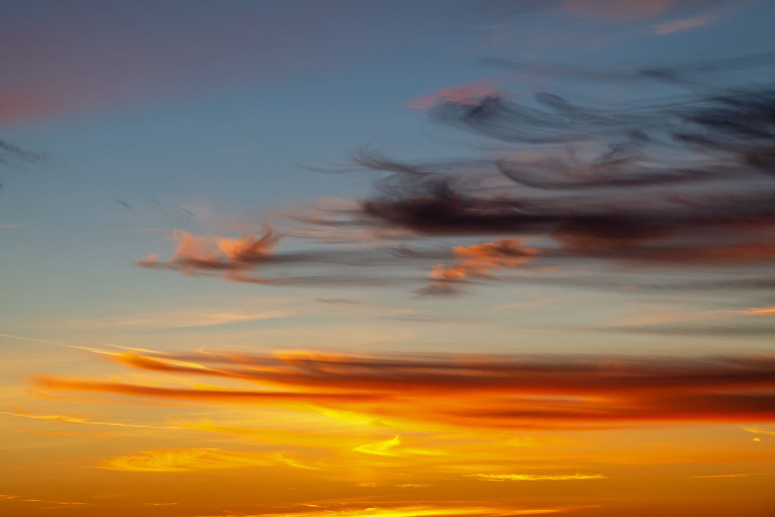 ПРИРОДА. От прошлого к будущему авиации через фотографию