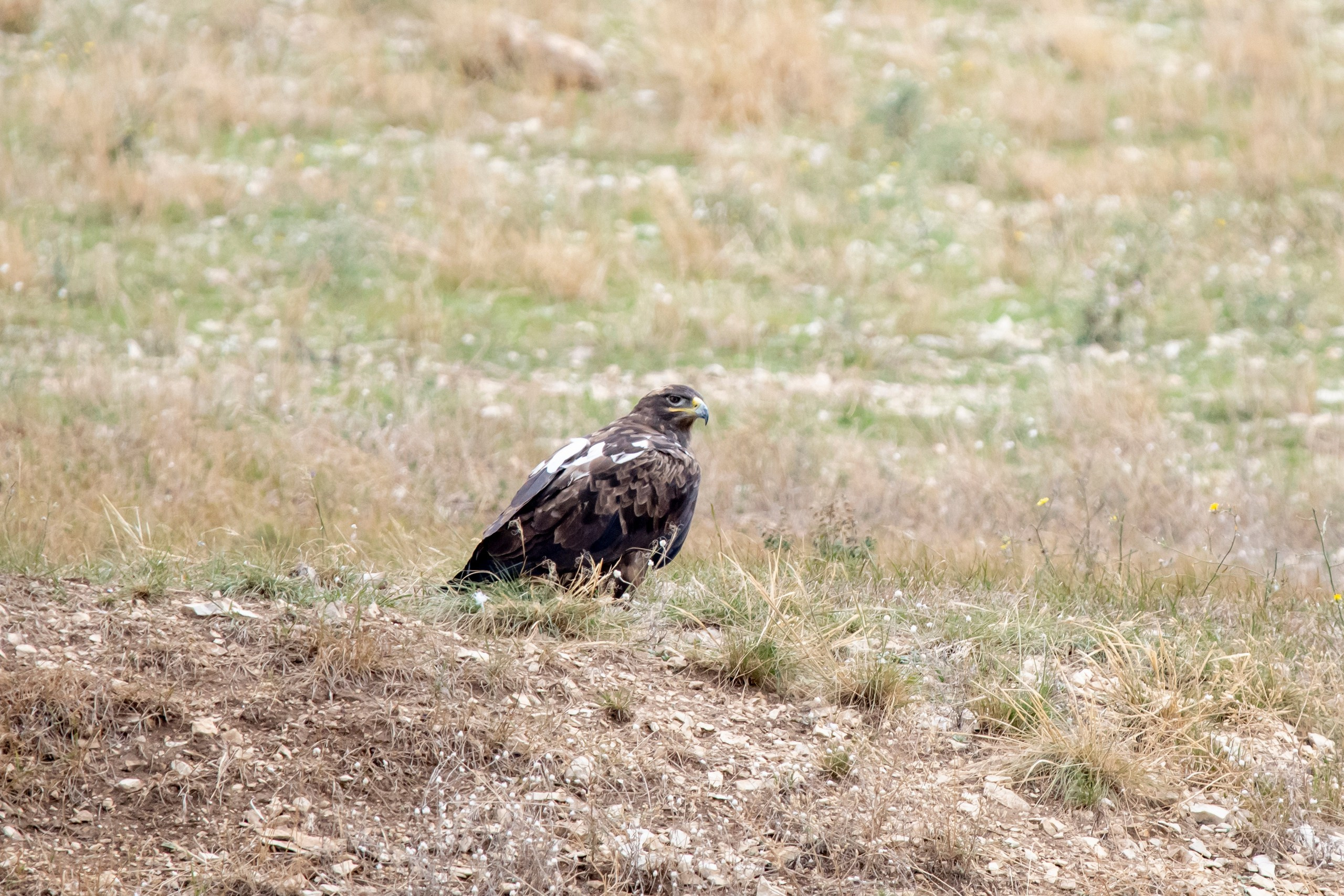 Природа Дагестана, сентябрь 2024. Foto-Zuev фотография как искусство