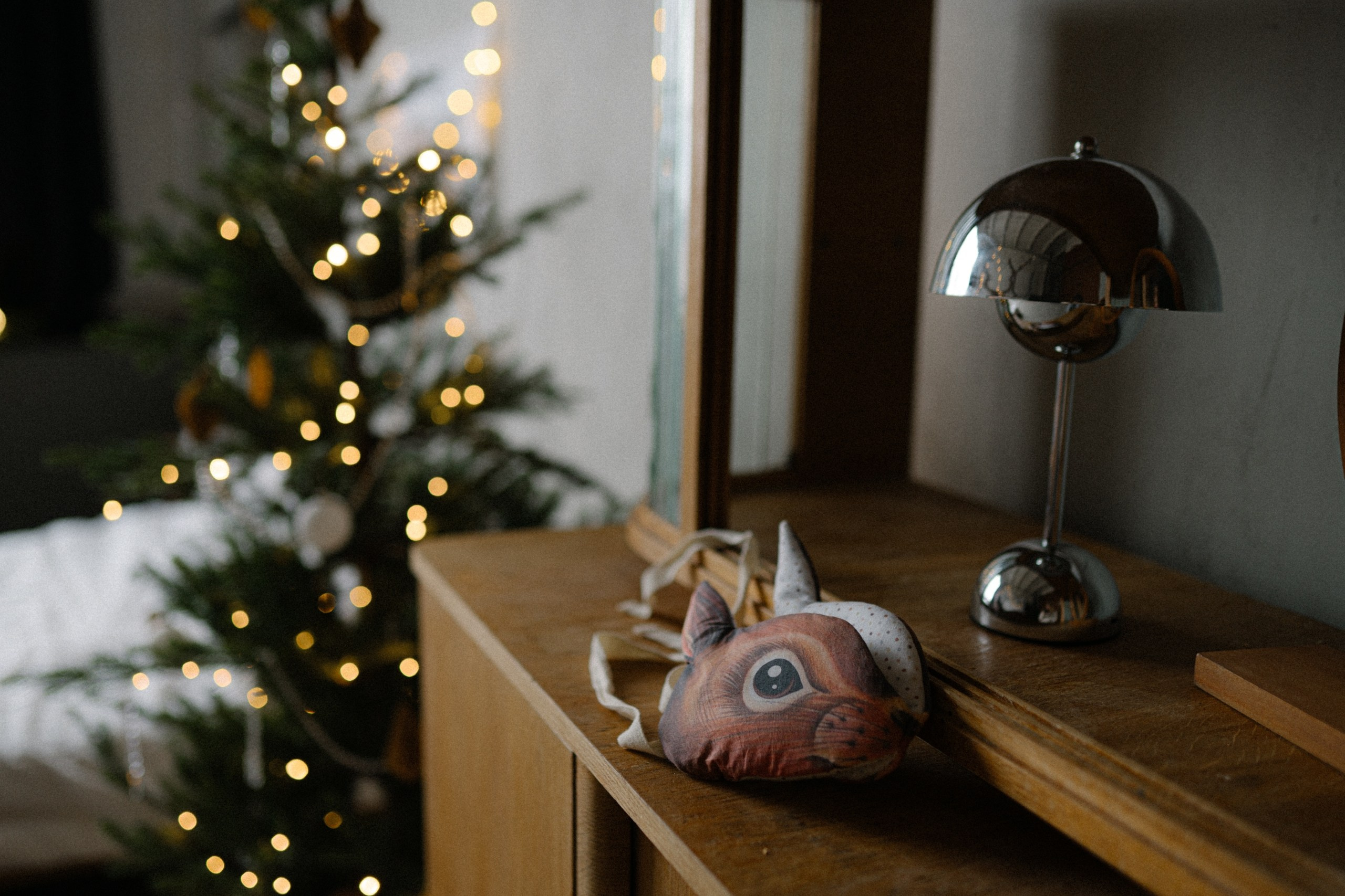 Новогодняя фотосессия в Туле. Портретный, семейный, свадебный фотограф. Бизнес, контент съёмка. Тула