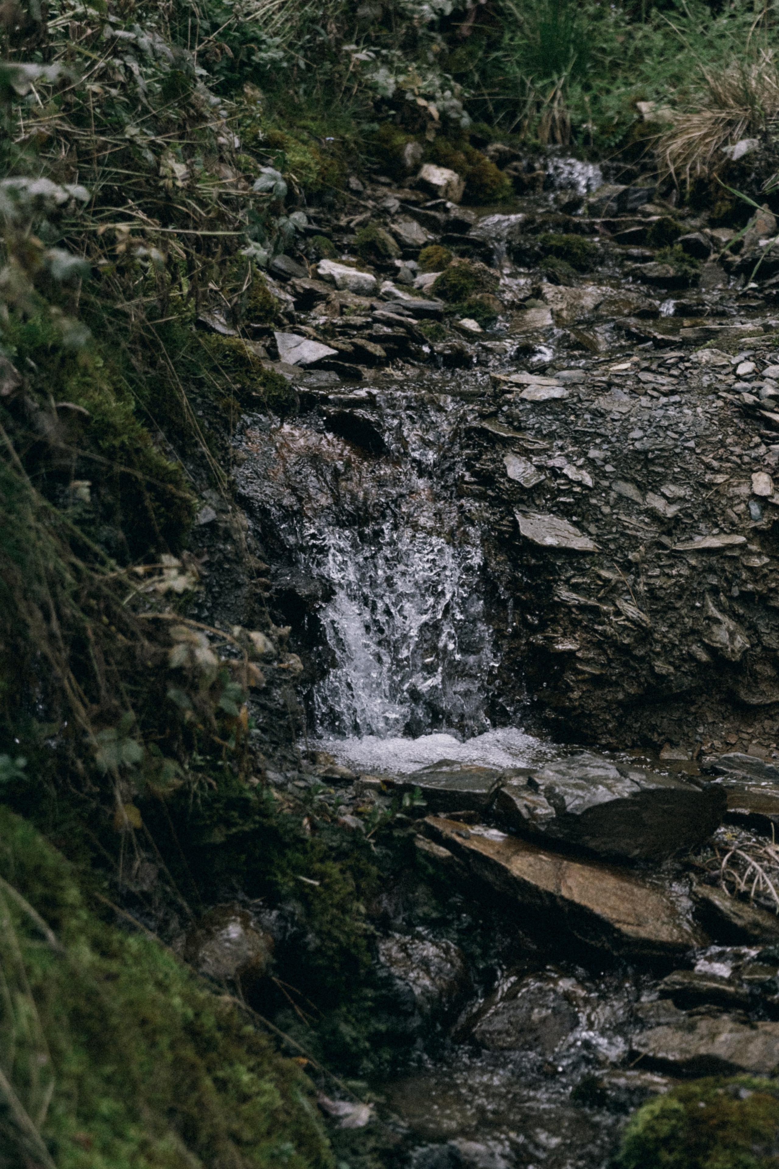 Алтай, природа и эстетика. Александр Чернин. Семейный и событийный фотограф