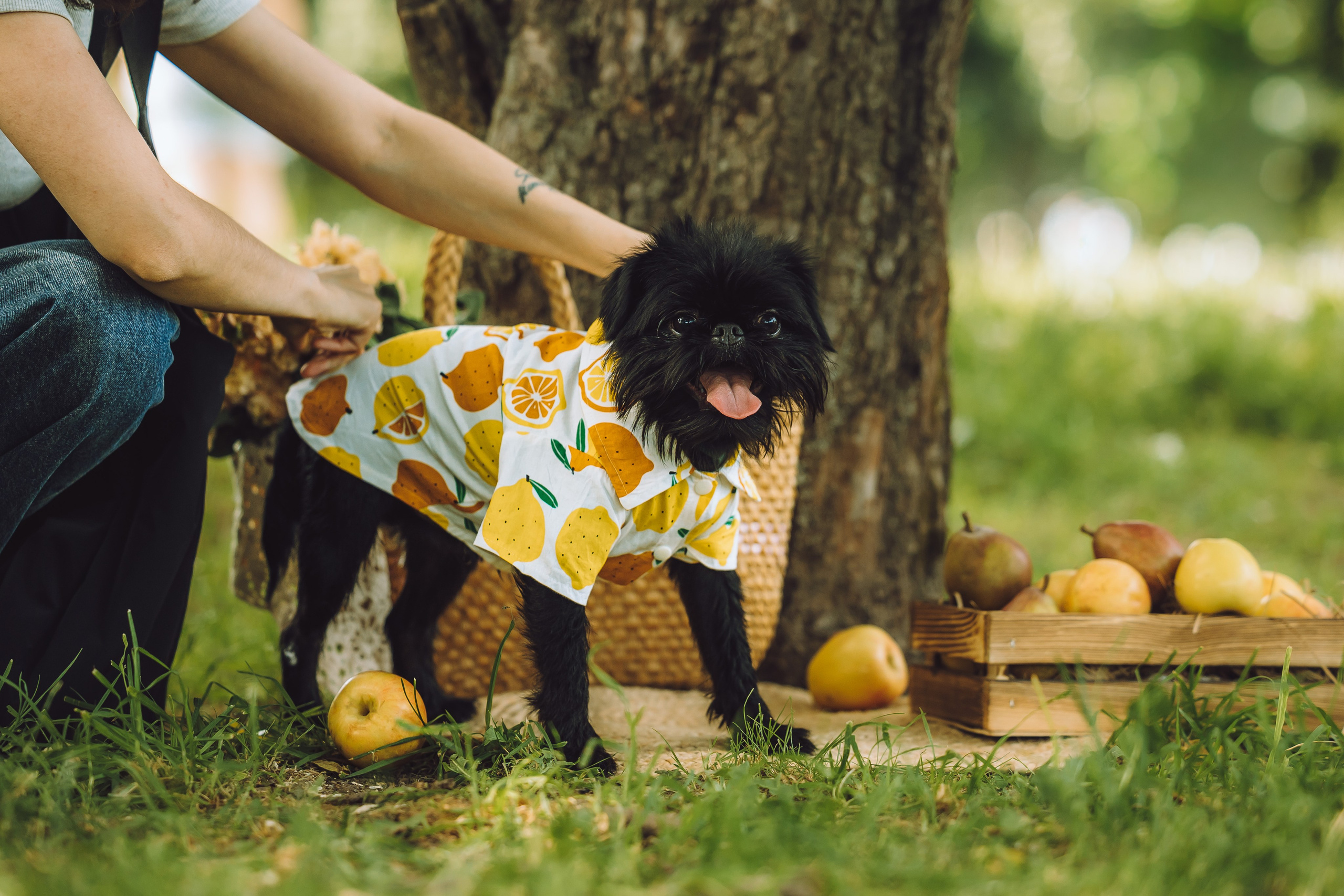 Griff-пикник. Семейный фотограф животных, анималист в Москве Екатерина Киреева