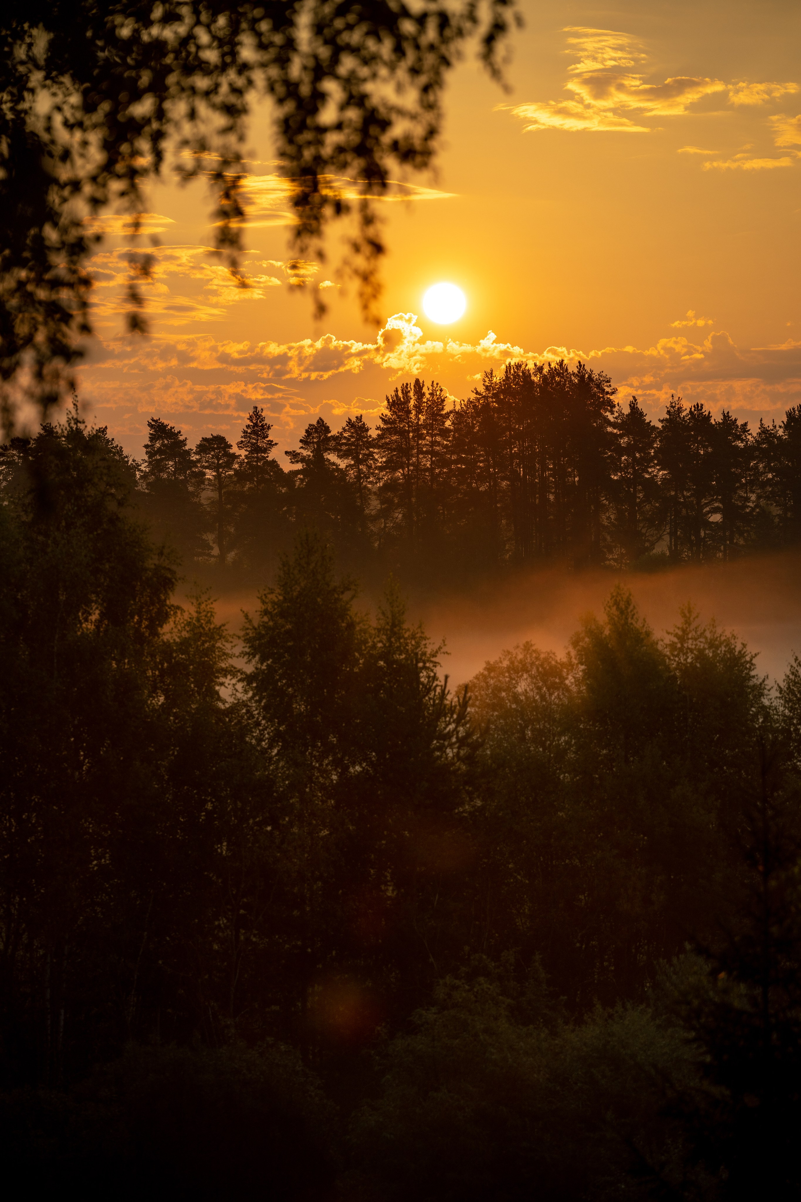 Природные пейзажи. Наталия Клевинскас портретный фотограф в Костроме