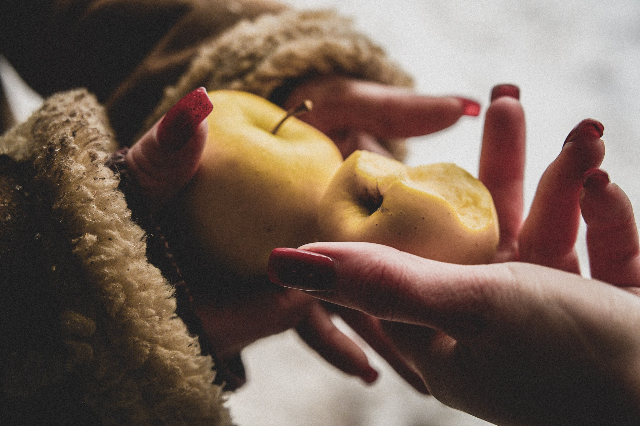 Конюшня. Репортажный фотограф в Санкт-Петербурге Диана Ларченкова