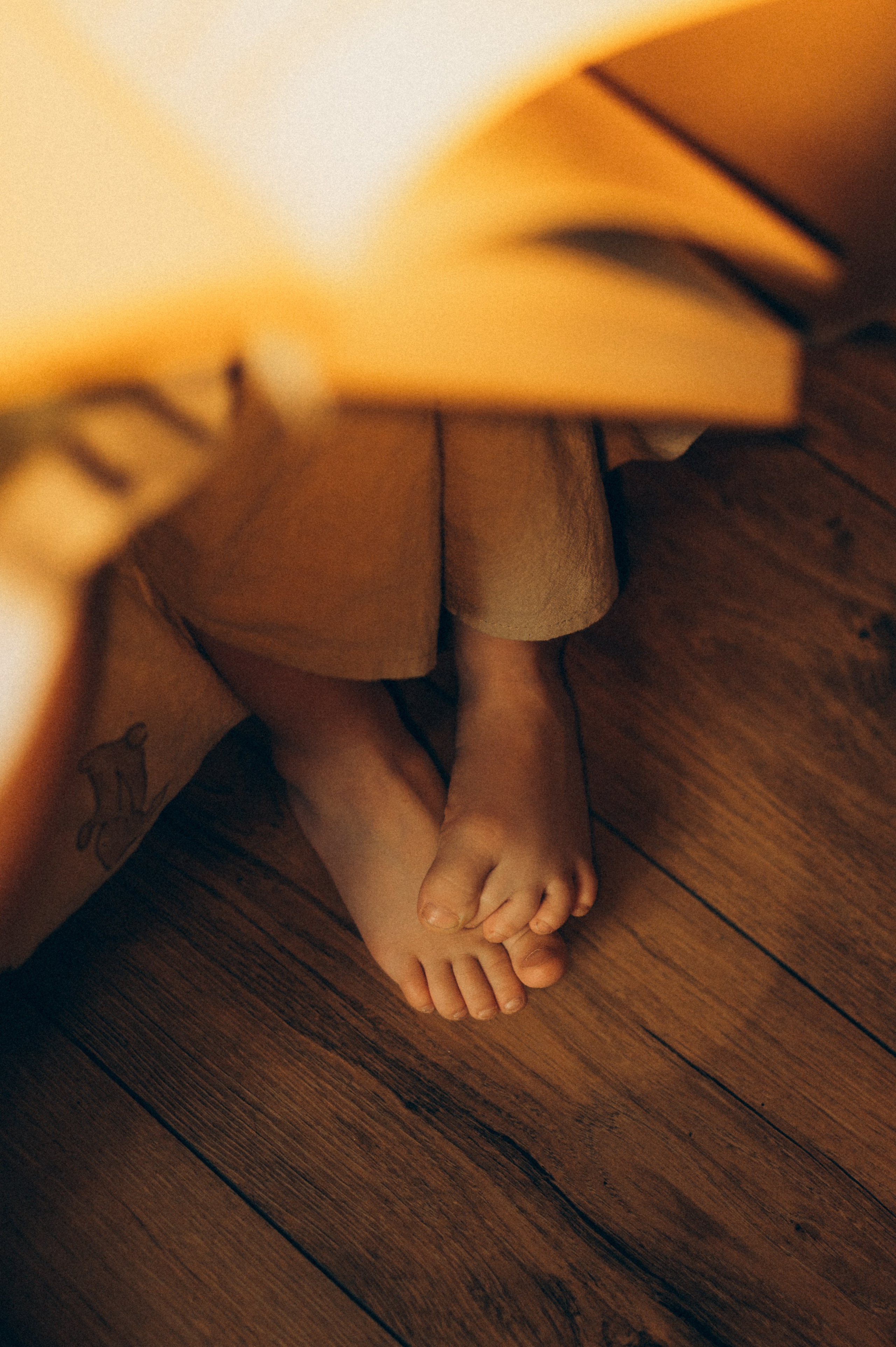 Волшебная семейная дома. Фотограф Алексин, Тула