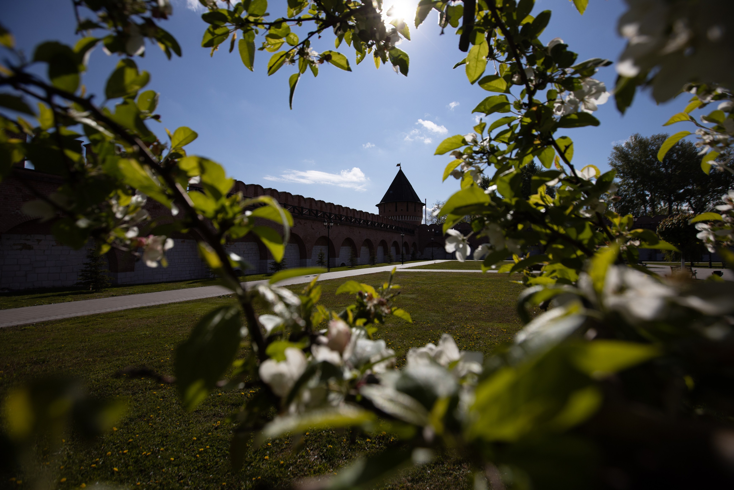 Весеннее цветение в Туле. Фотограф в Туле Крупский АнДРей. Фотостудия «КАДР71» в Туле