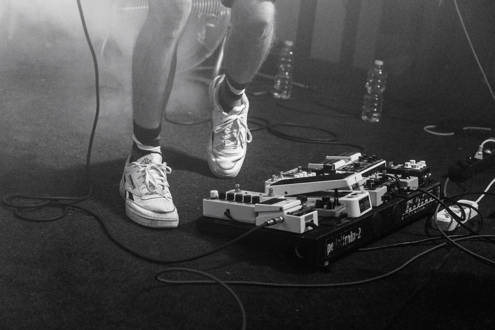 Змееед, Apodemus, 20.12.25, TAGO)))MAGO)))