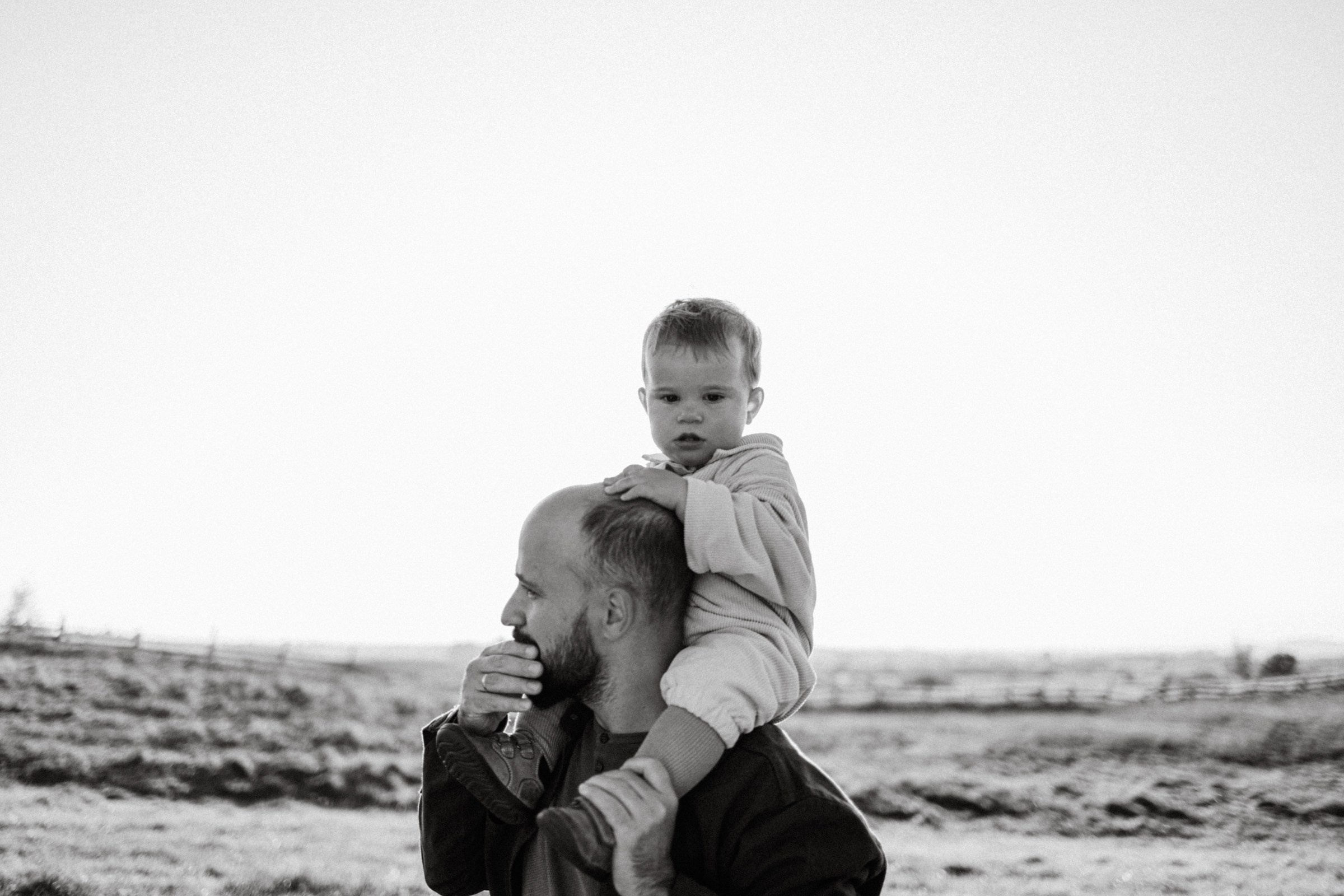 Дружелюбная овечка. Фотограф Daria Wilner