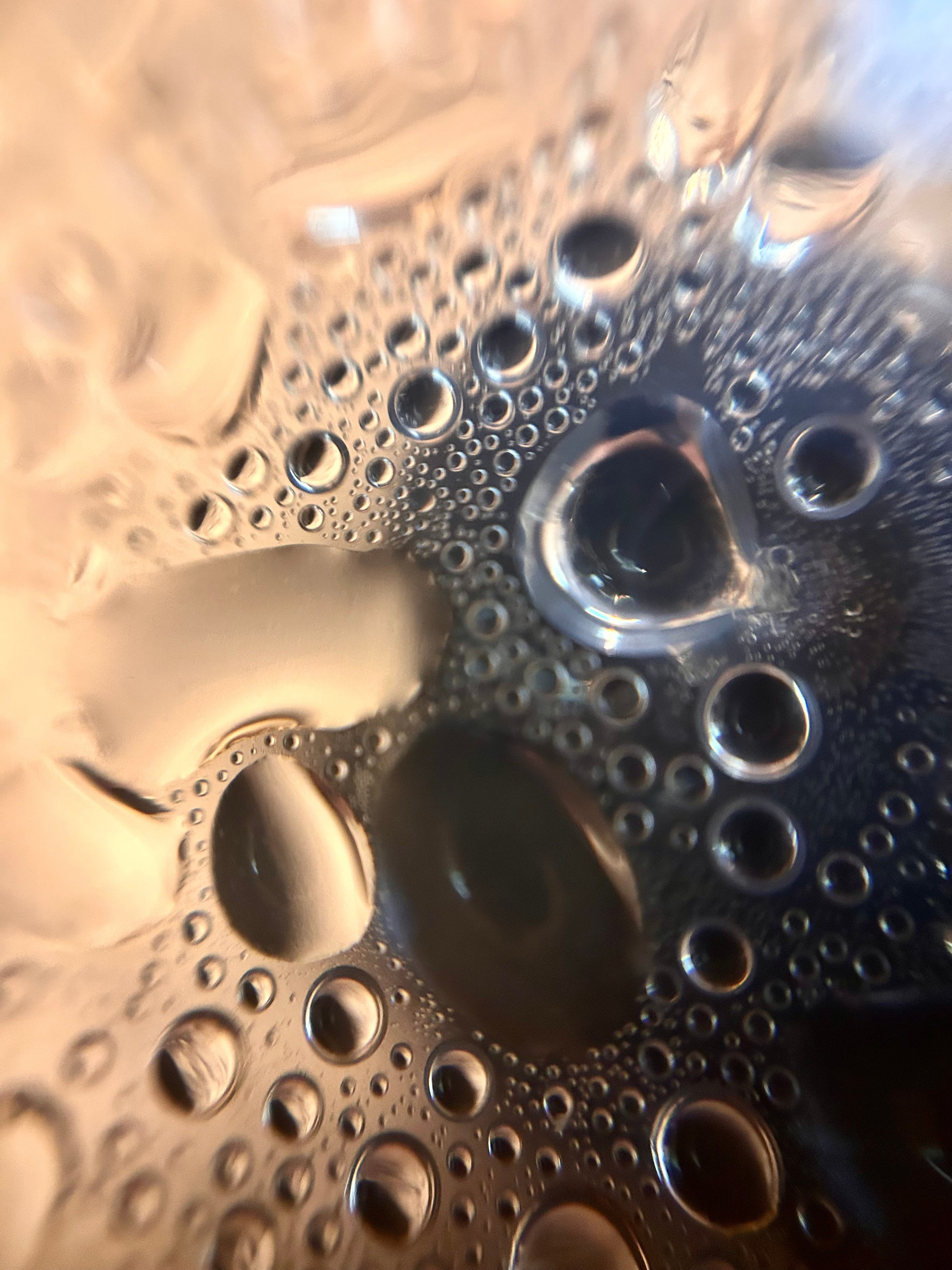 Макромир. Фотокружок «Видоискатель» ГБОУ СОШ № 291