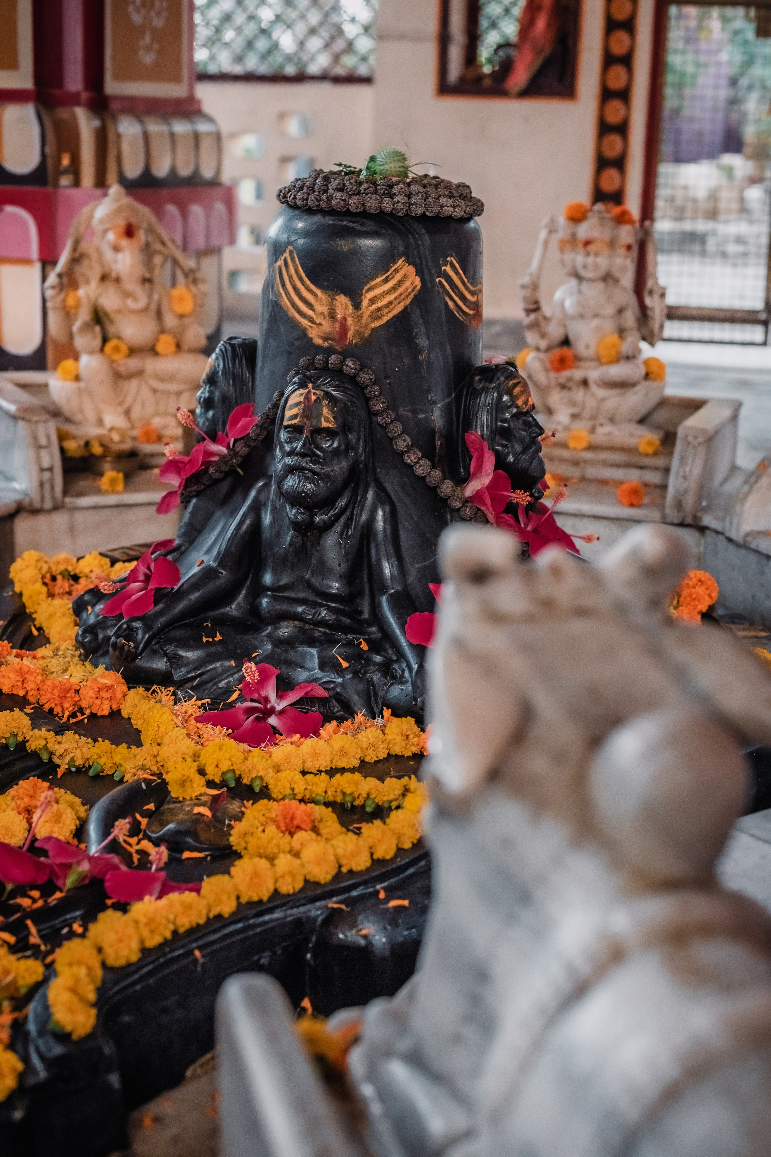 Devraha baba ji ashram life 2025. Mariam Bagdasaryan