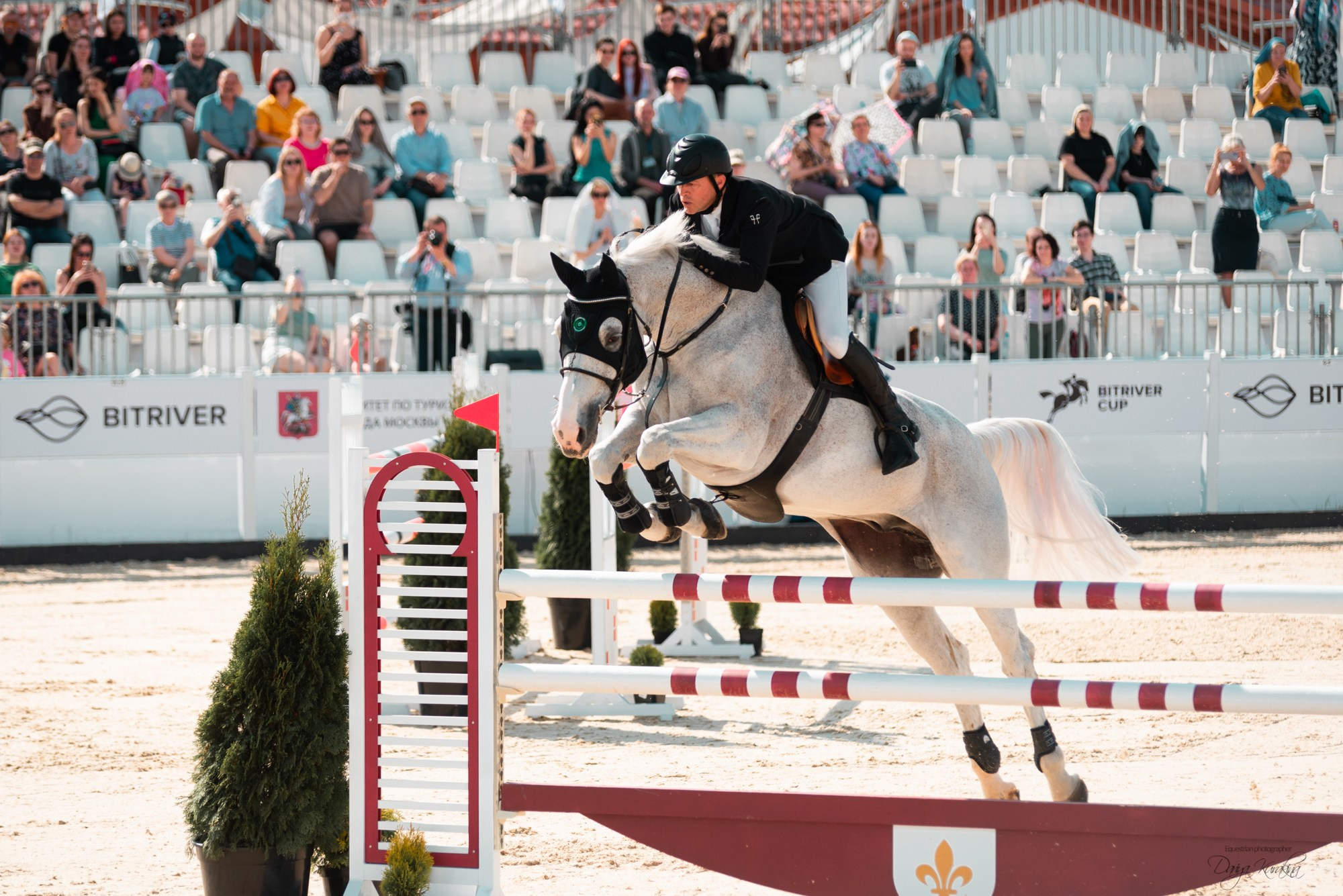 BITRIVER CUP 2023. Конный фотограф Куракина Дарья • Фотосессии с лошадьми