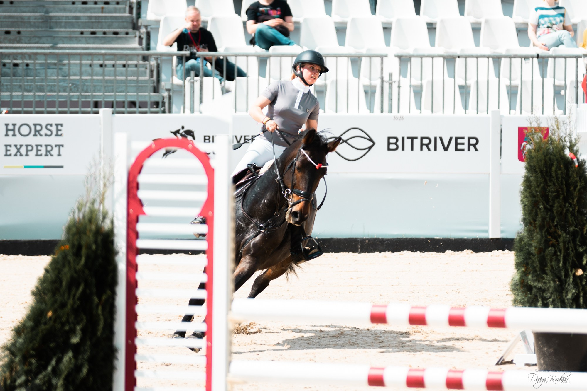 BITRIVER CUP 2023. Конный фотограф Куракина Дарья • Фотосессии с лошадьми