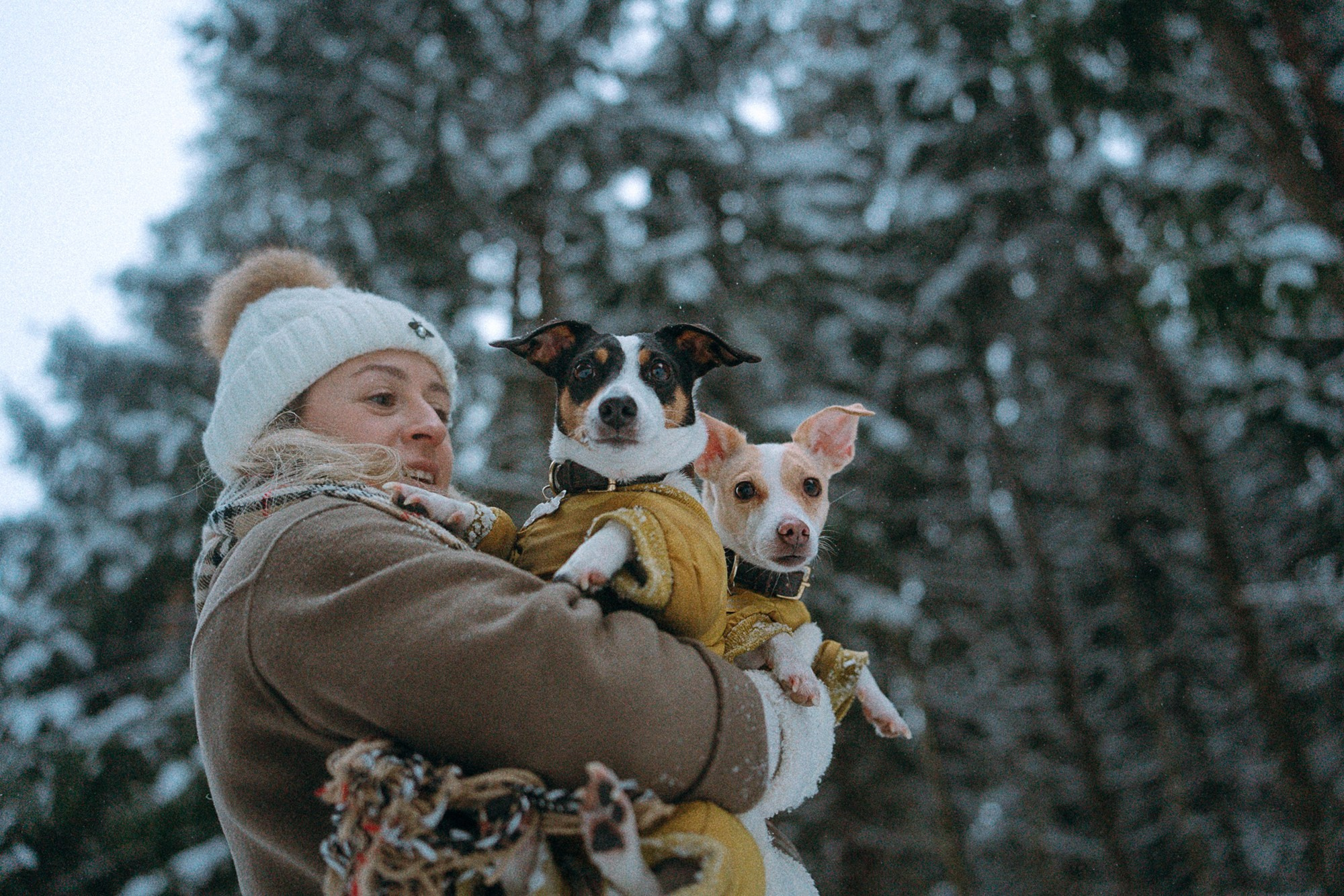Алина, Ваниль и Элис. Фотограф анималист в Москве и Санкт-Петербурге Свиридова Анна