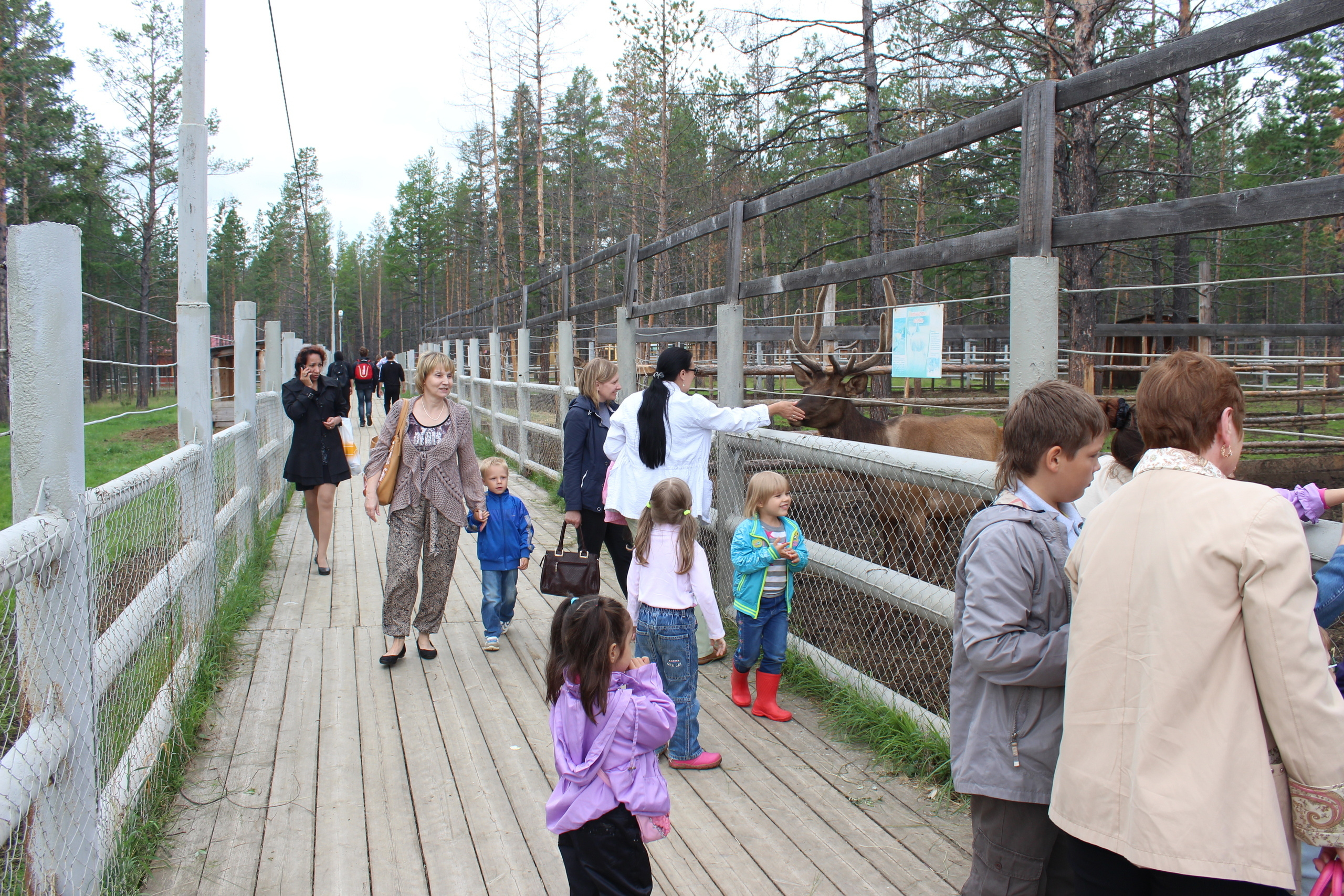 Мирнинская общественная организация многодетных семей "Надежда" Респуб