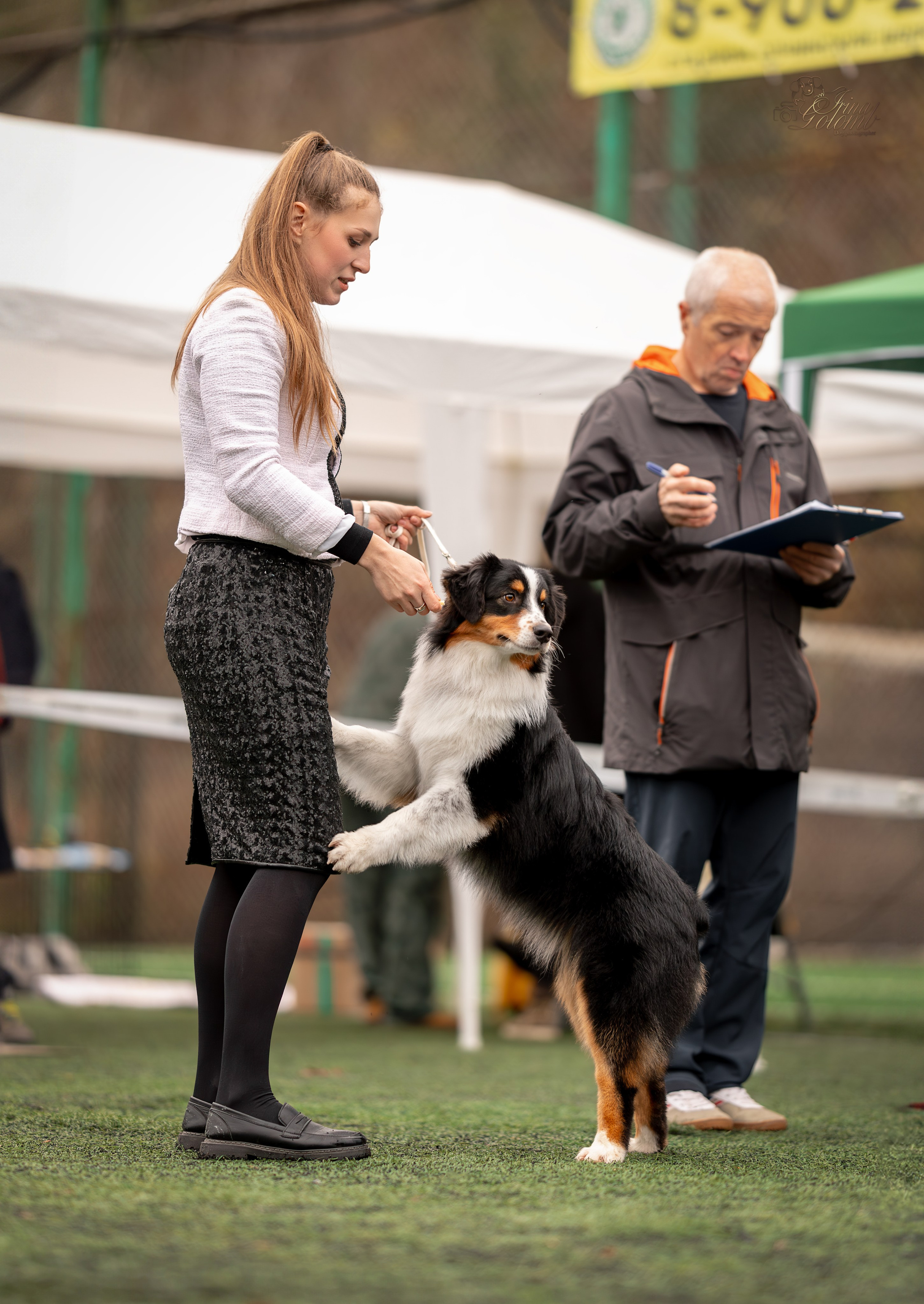 Выставка 17.12.23. Ирина Голомб|Фотограф-анималист в  Сочи и Калининграде