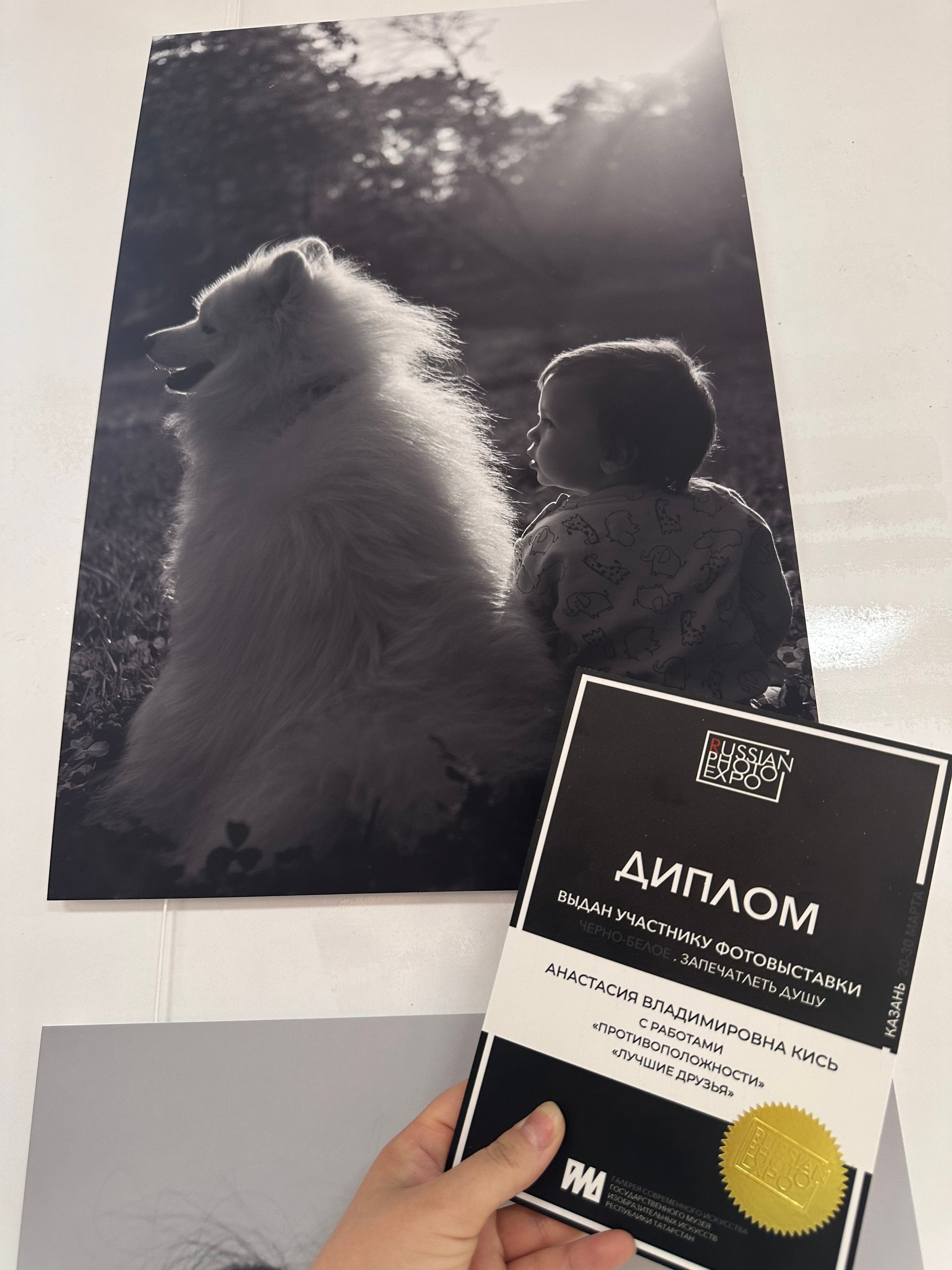 Достижения, дипломы. Фотограф в Иркутске Анастасия Кись. Студийная фотосессия беременности в тканях Иркутск. Семейная фотосессия, ПОРТРЕТ «ПОКОЛЕНИЕ»