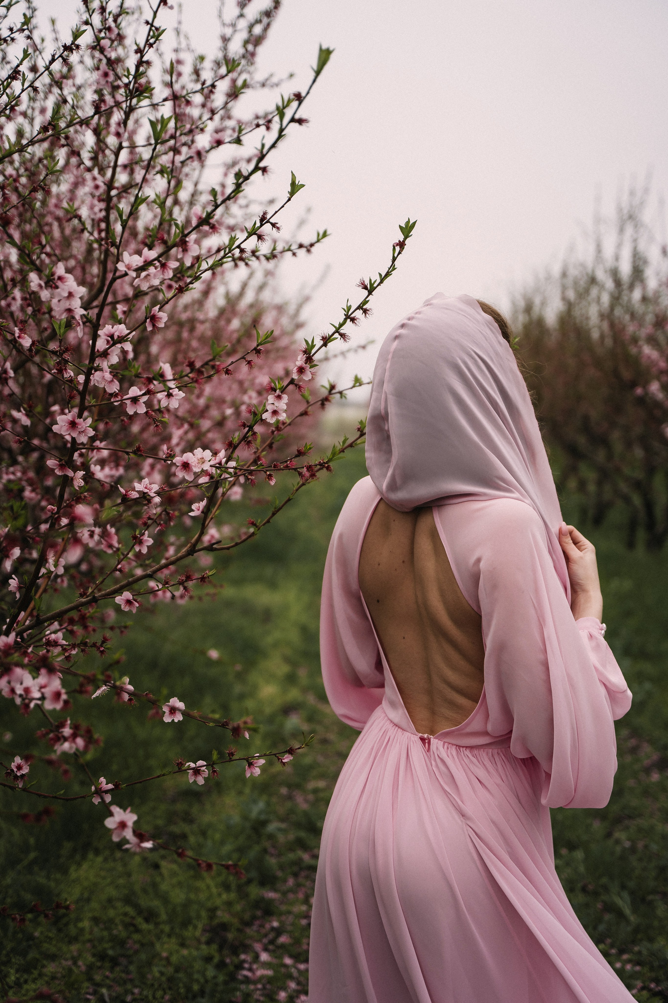 Анна. Татьяна Тагель