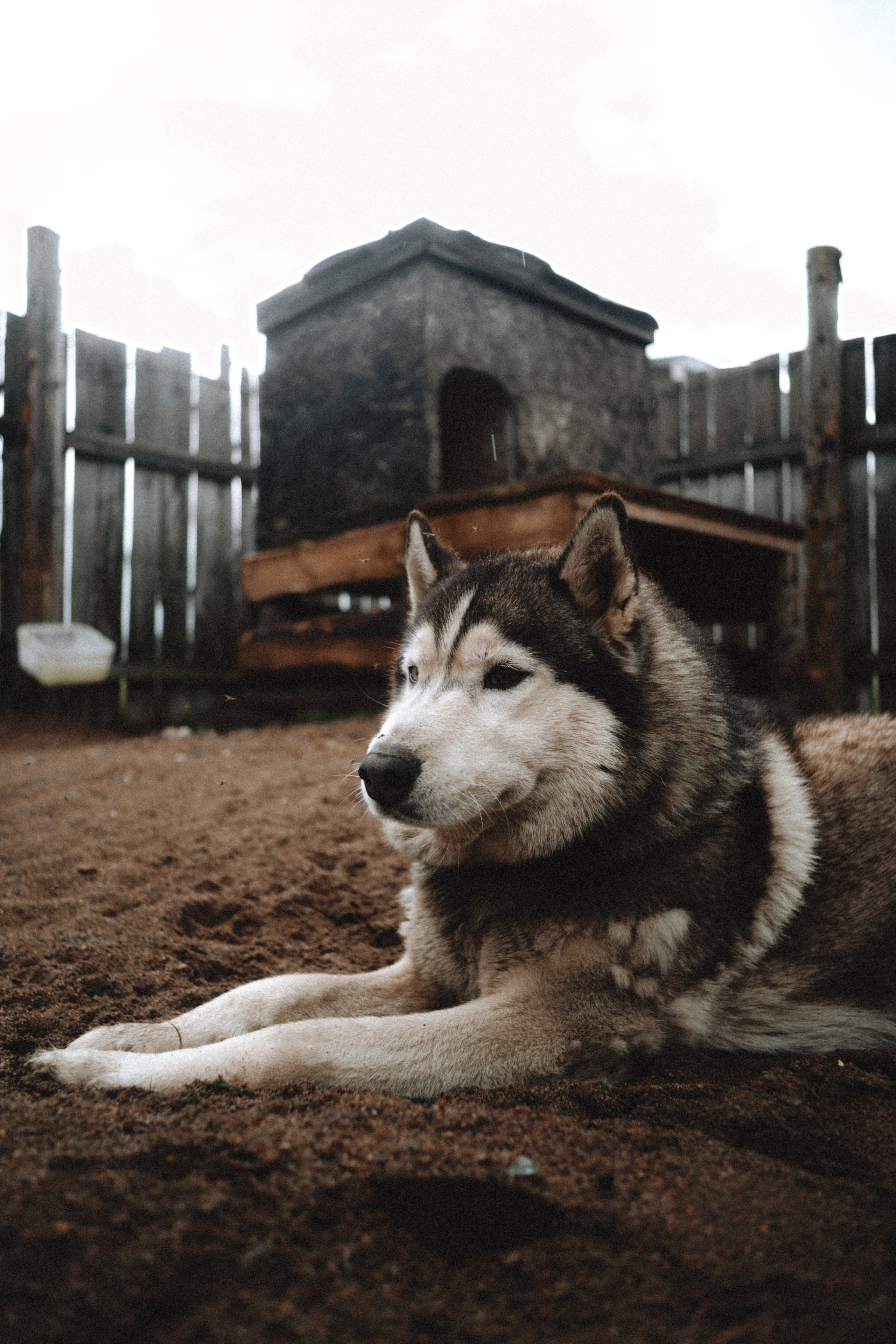 Териберка, Мурманск. Фотосъёмка для компании по организации туров в коллаборации с Яндекс 360