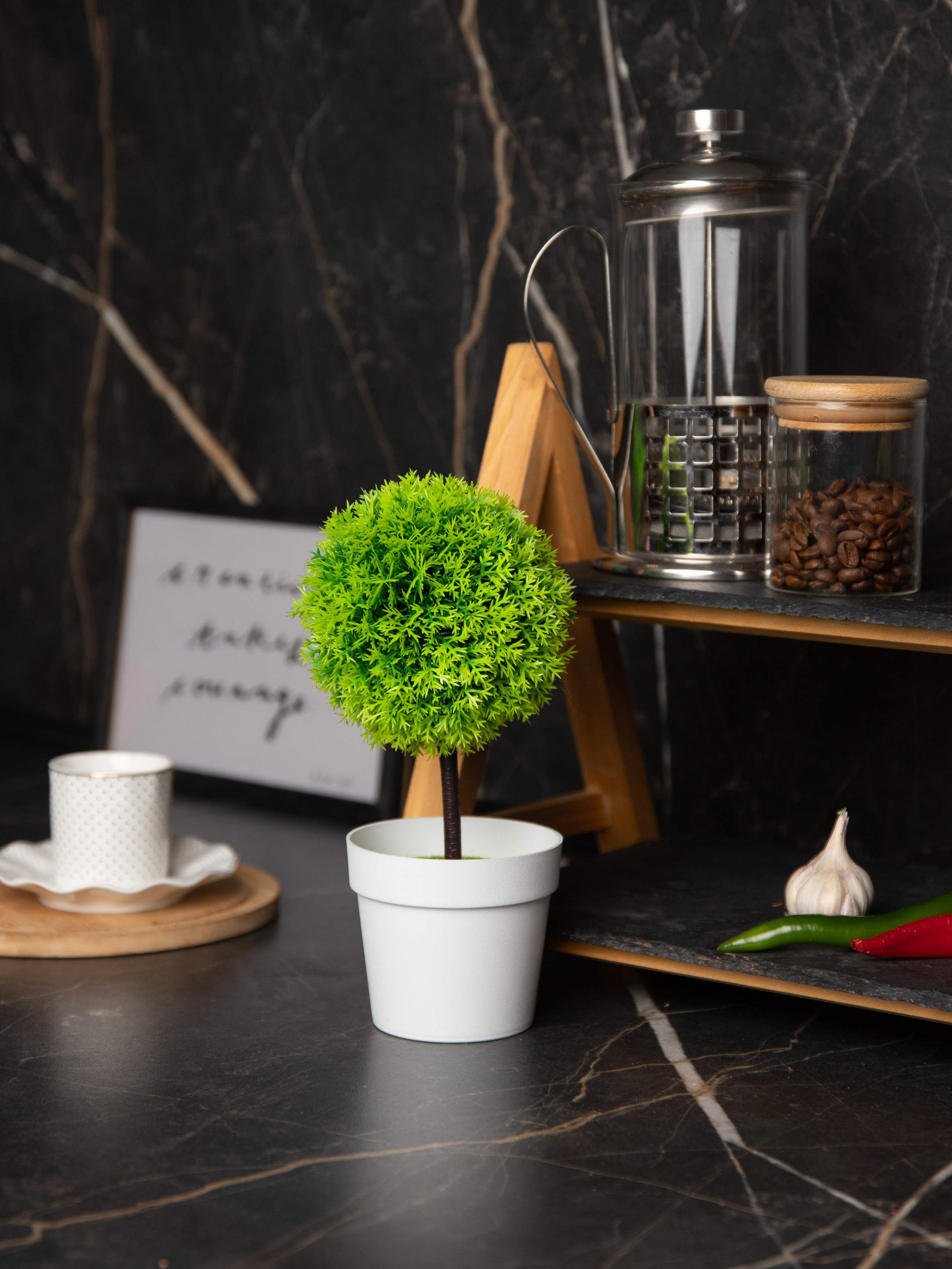 Декоративные деревья. Коммерческий фотограф в Санкт-Петербурге (СПб) Екатерина Панчёха, Панчёшка