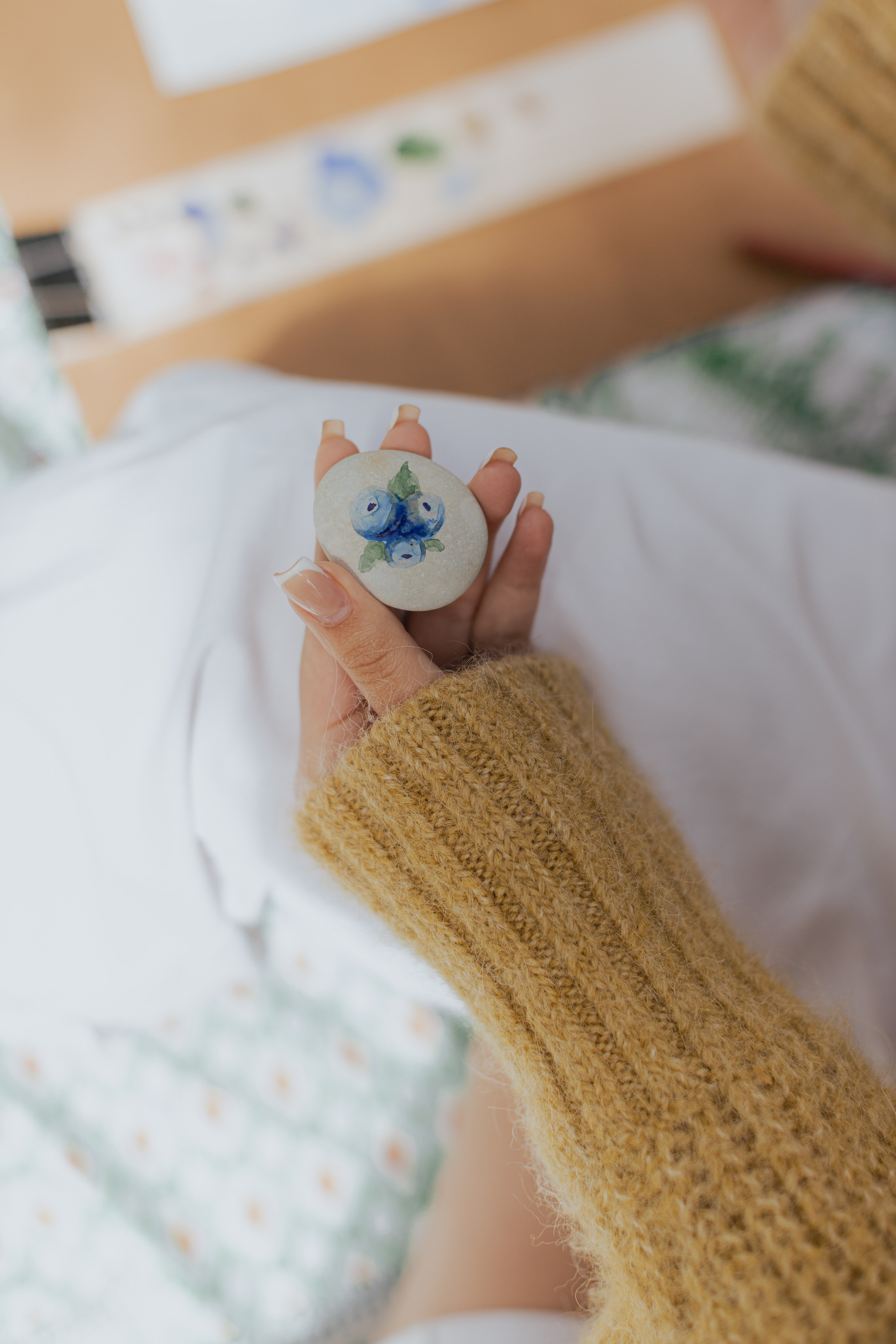 Мк Акварель (рисунки на камнях). Анастасия Ракчеева Художник