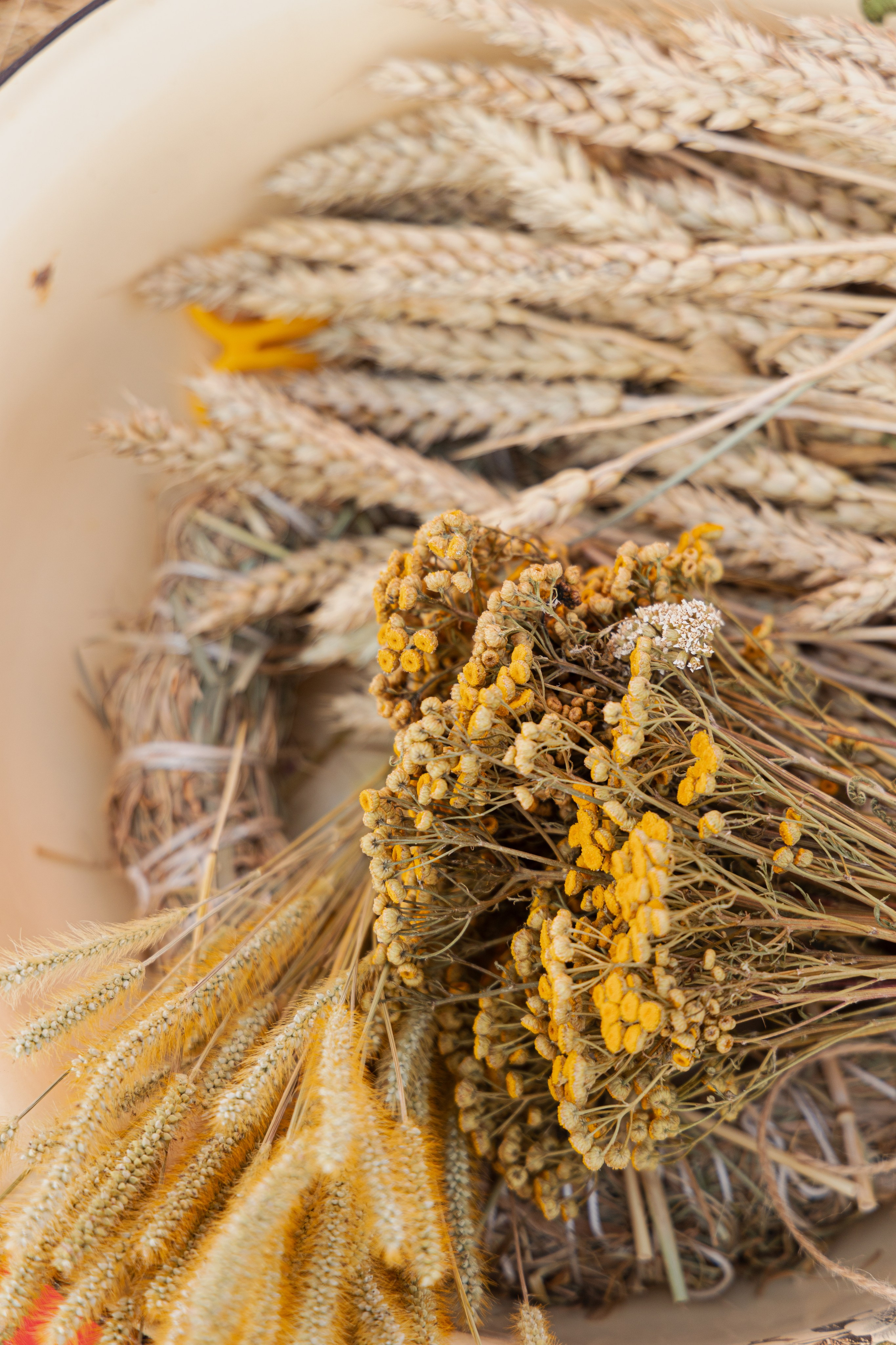 МК Осенний венок (локация на крыше). Анастасия Ракчеева Художник