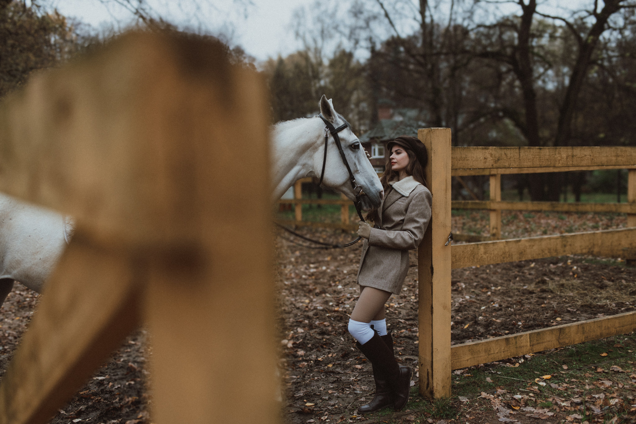 «Осенний ветер и грациозный скакун». Фотограф в Москве/Зарайске Шахова Марина