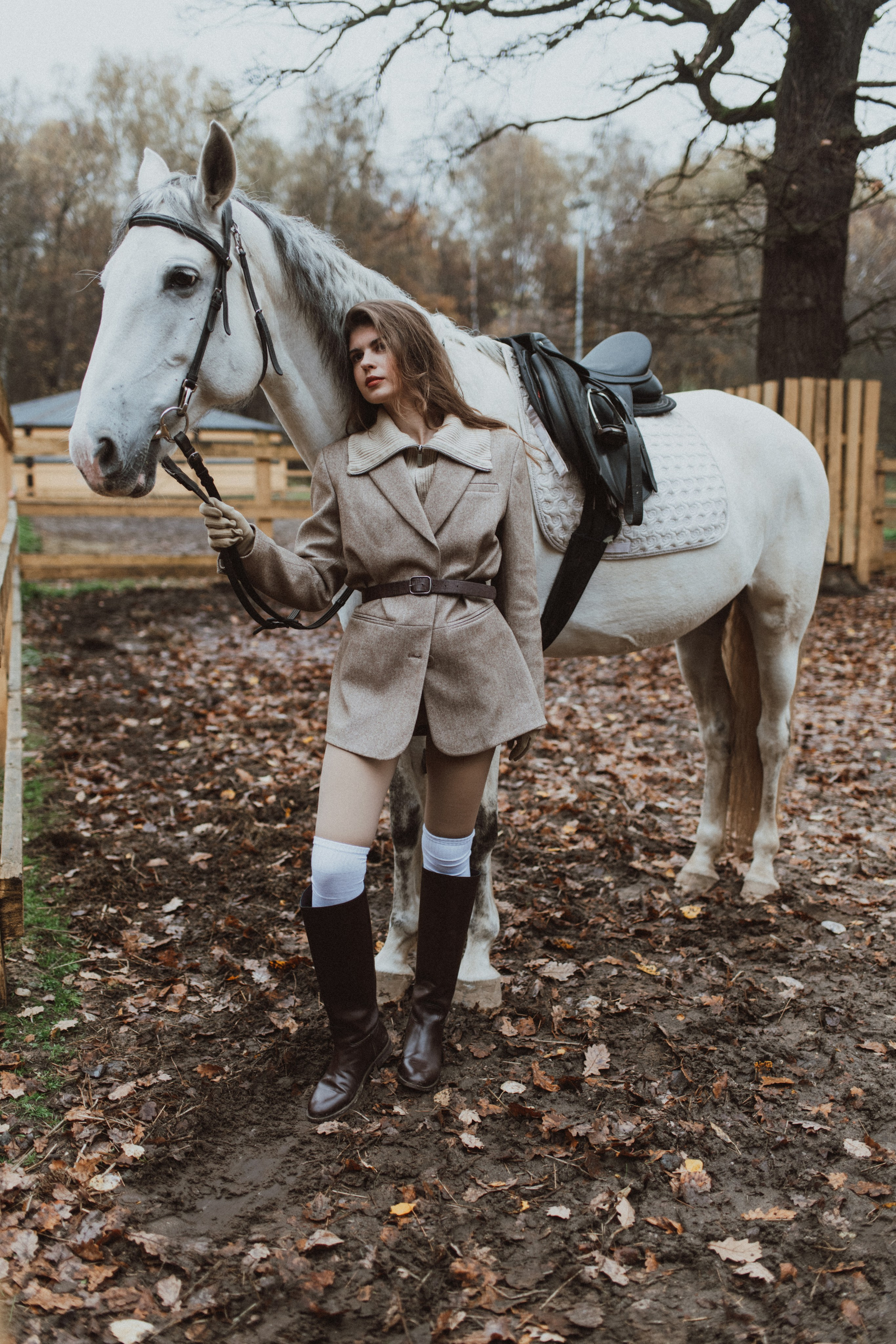 «Осенний ветер и грациозный скакун». Фотограф в Москве/Зарайске Шахова Марина