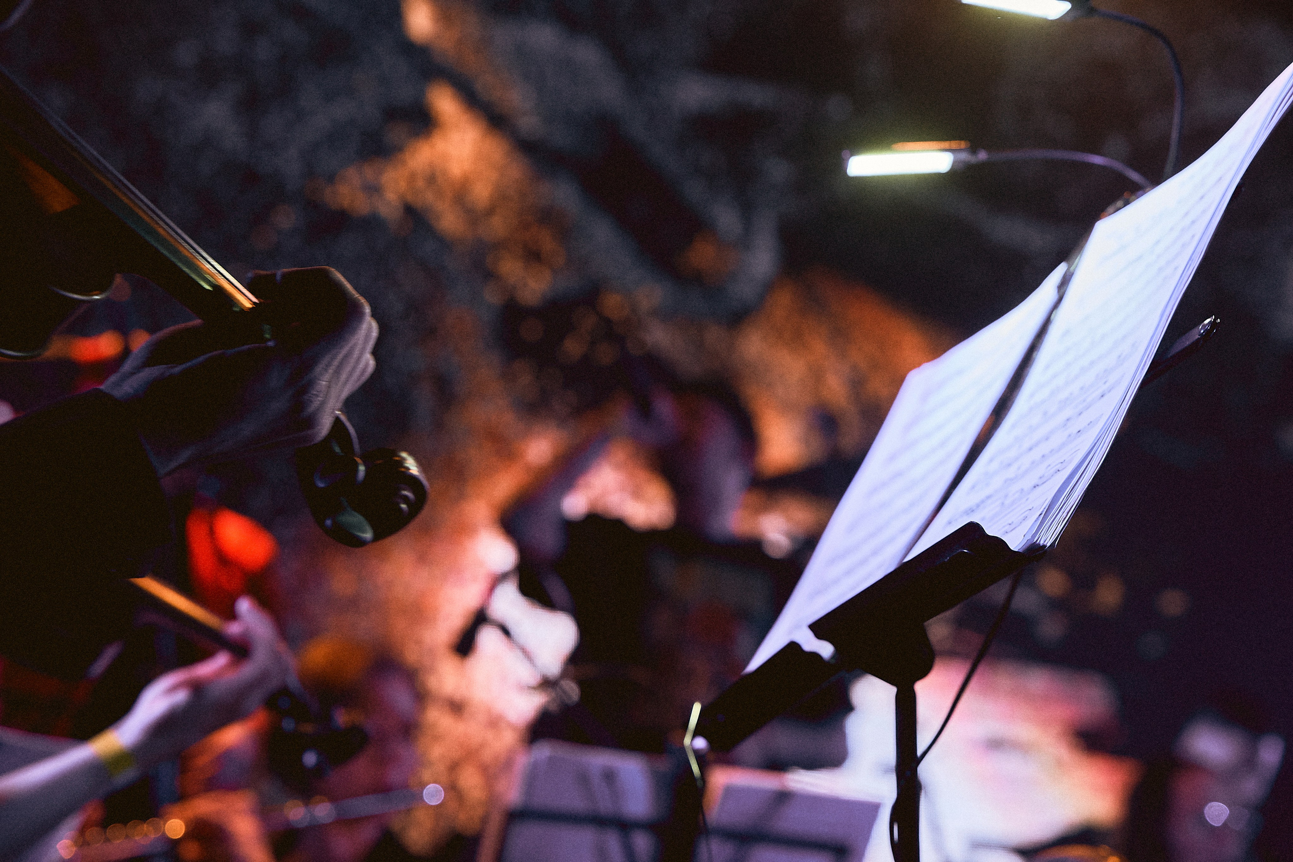 Другой Оркестр. Фотограф Вика Фадина, Екатеринбург