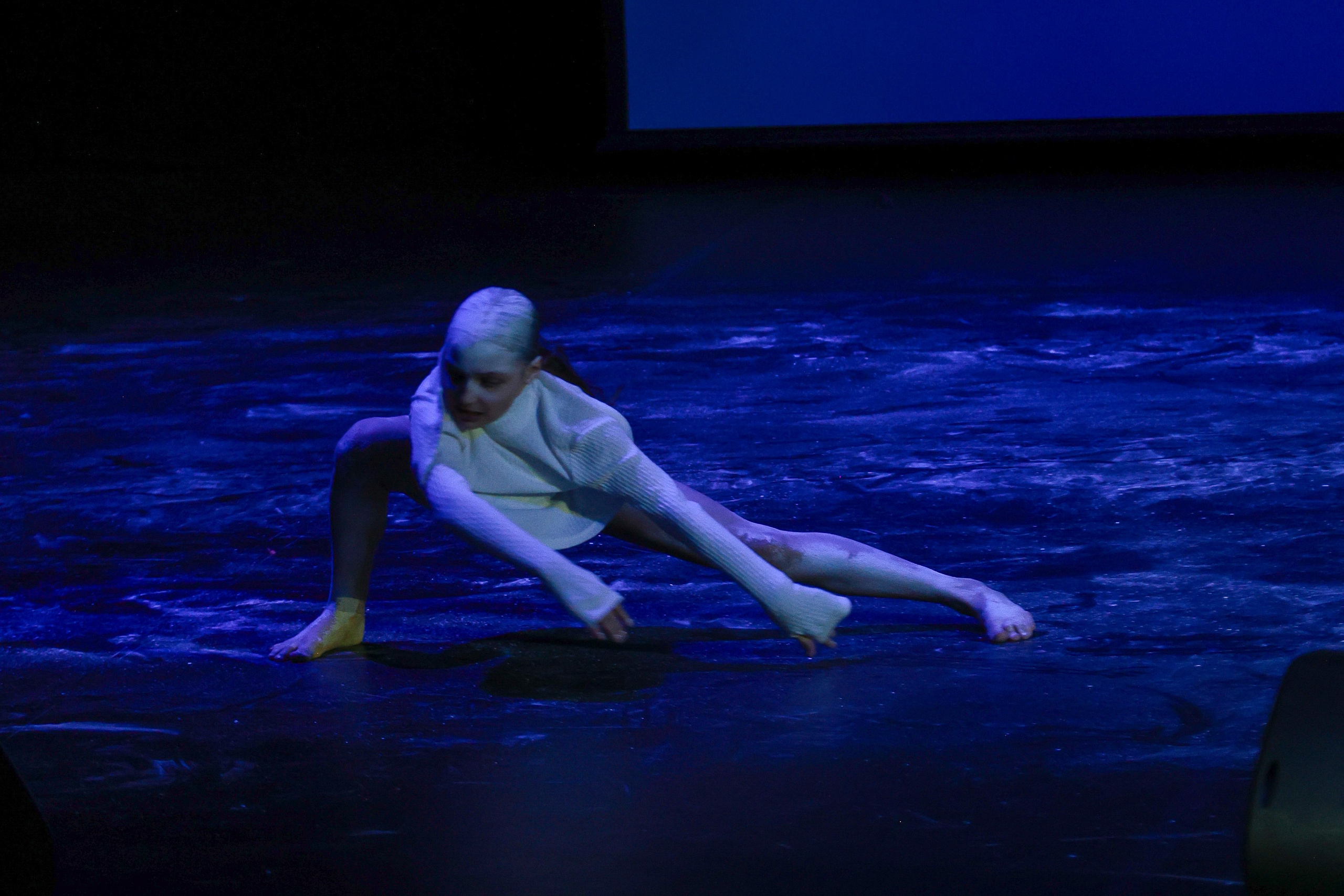 Небесные ласточки на Танц ЭКСПО 2026. Фотограф Юлия Мальцева