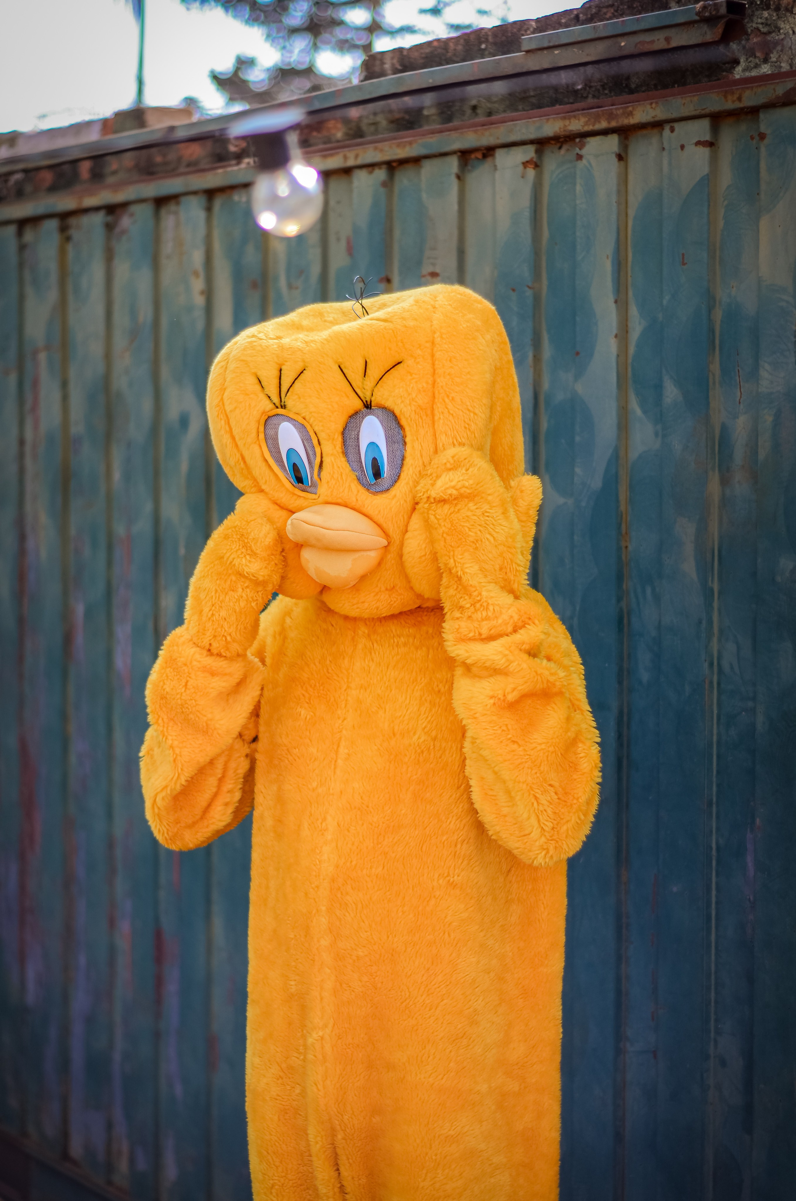 FEST.ART. Fotógrafo | Sessão de fotos