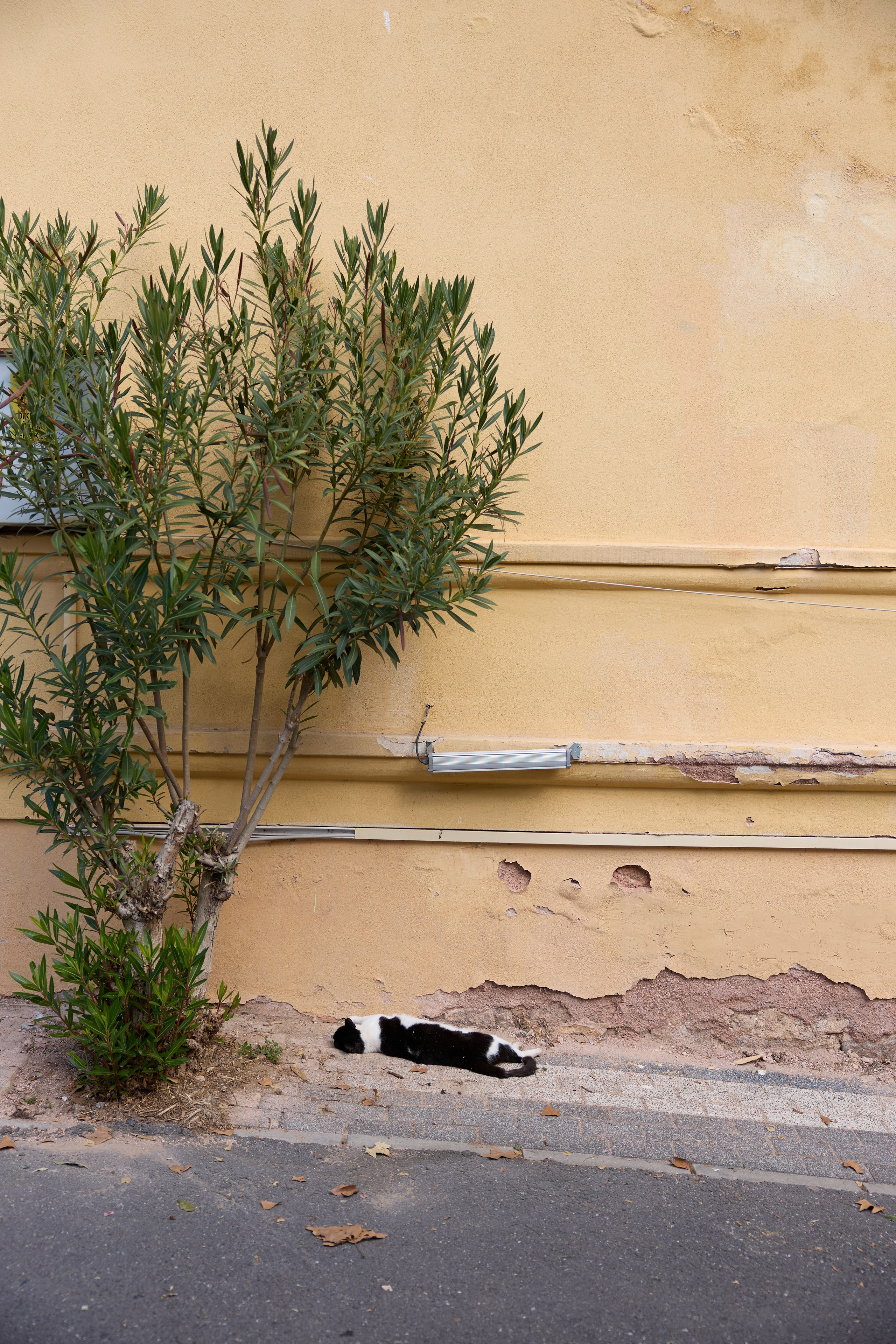 Стамбул 24. Фотограф Москва, Дима Пеллер