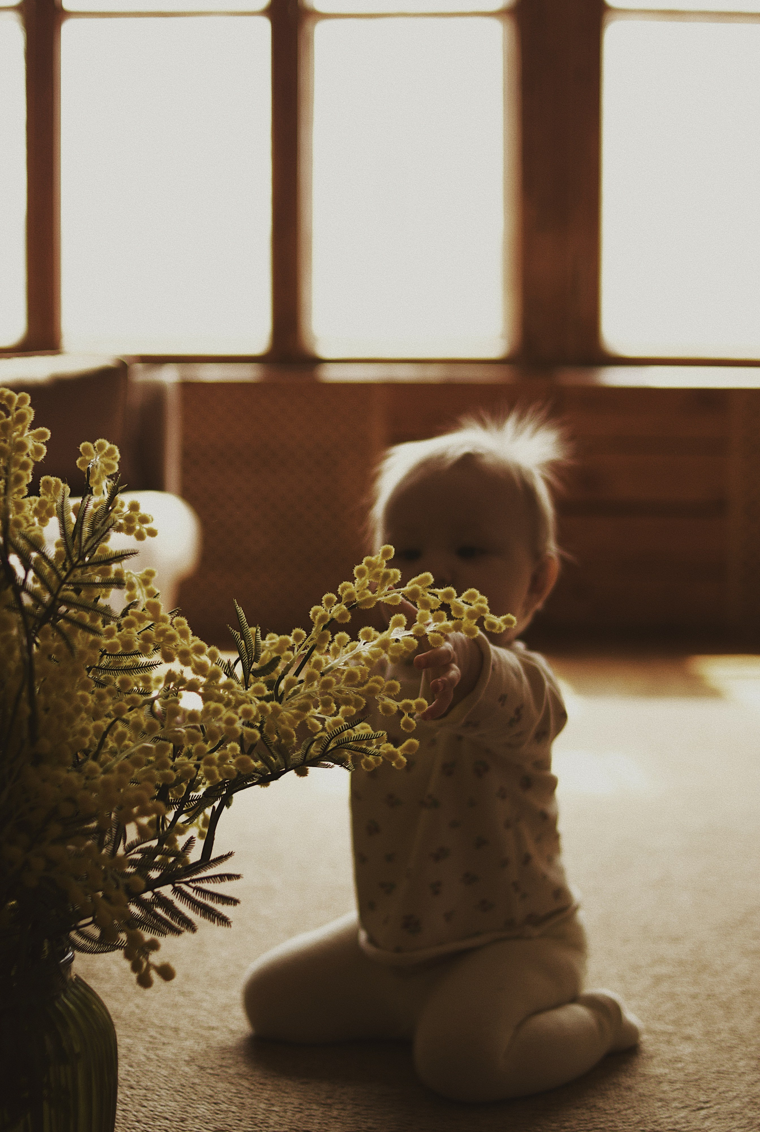 Семейные съёмки. Фотограф во Владивостоке Анастасия Соловей