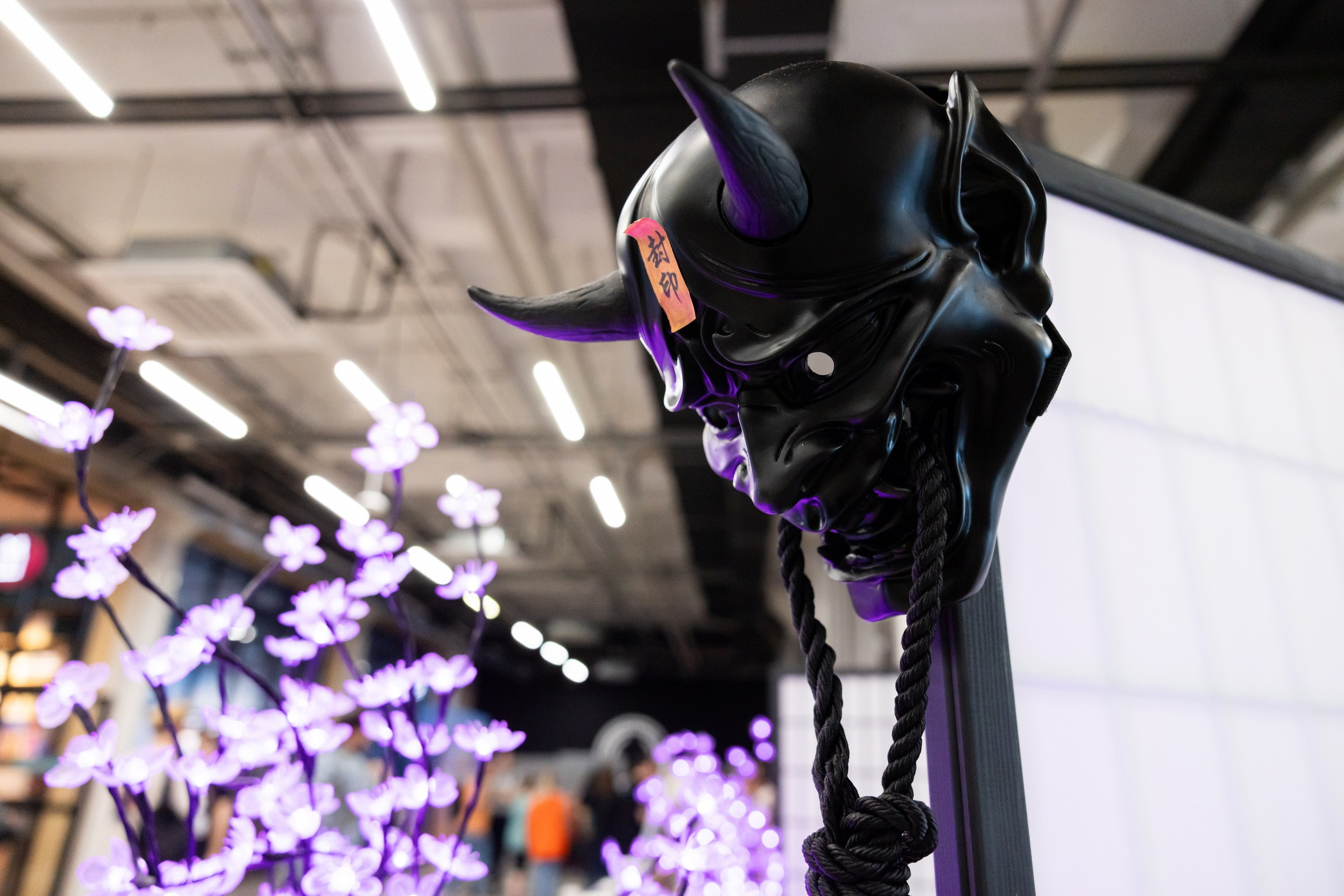 Фестиваль азиатской культуры Аой-мацури (25 мая 2025). Репортажный фотограф Алексей Пирязев