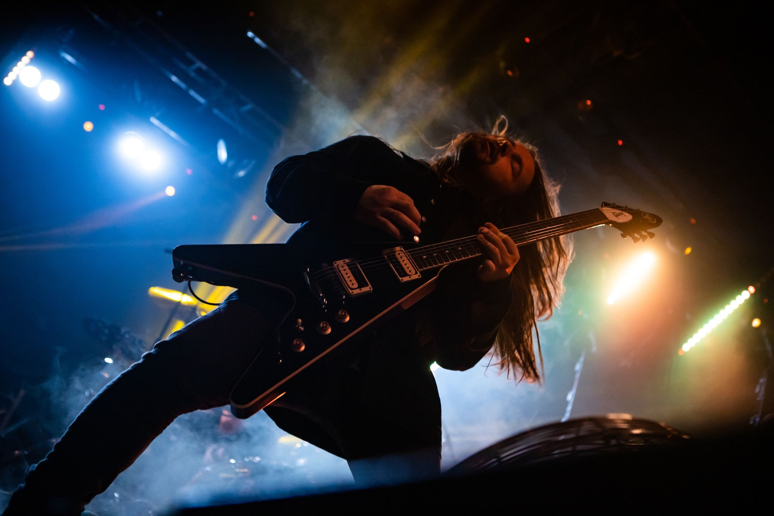 Animal ДжаZ. Репортажный фотограф Алексей Пирязев