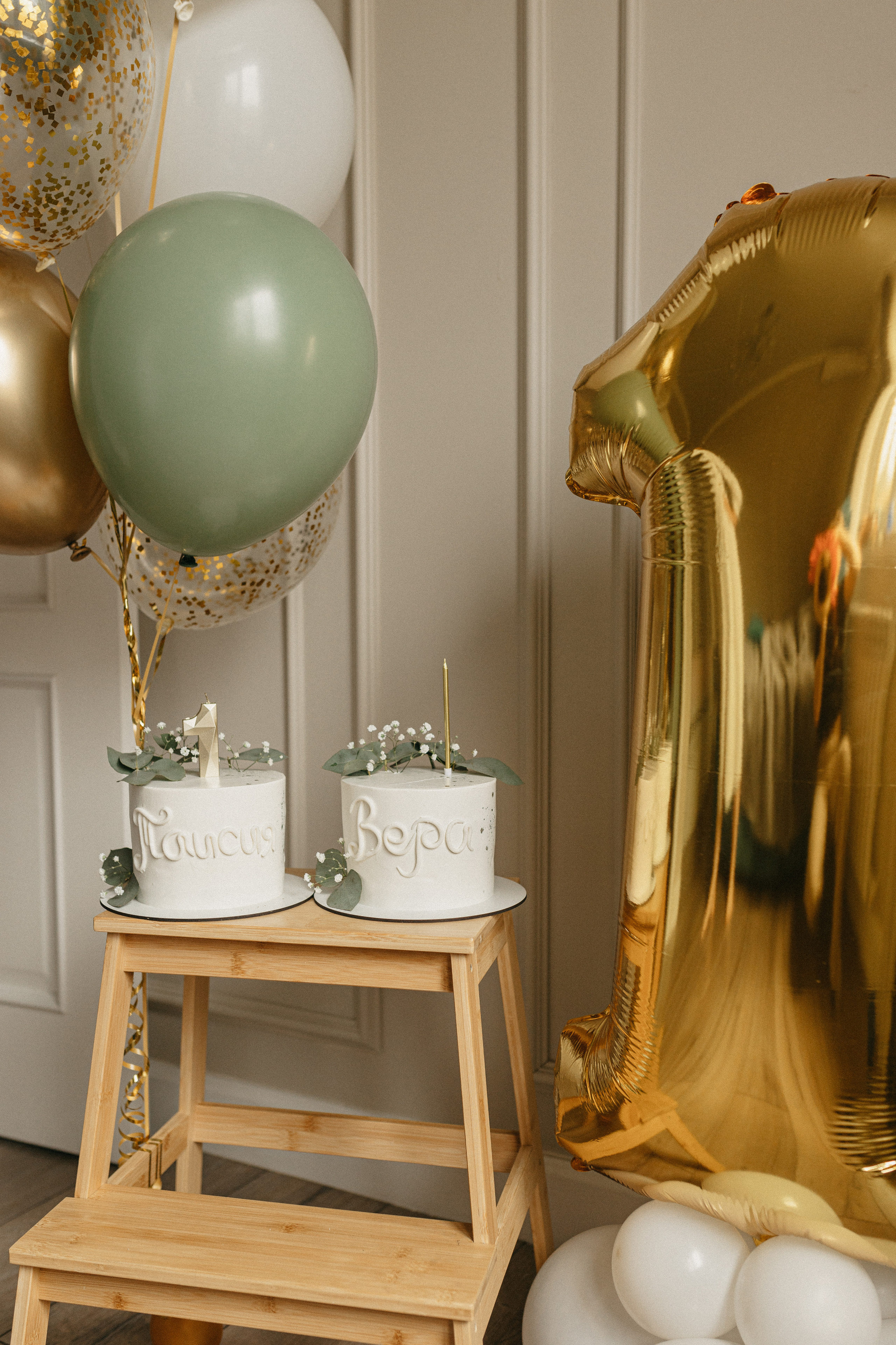 Год Тае и Вере. Семейный фотограф в г. Ростову-на-Дону Козлова Евгения