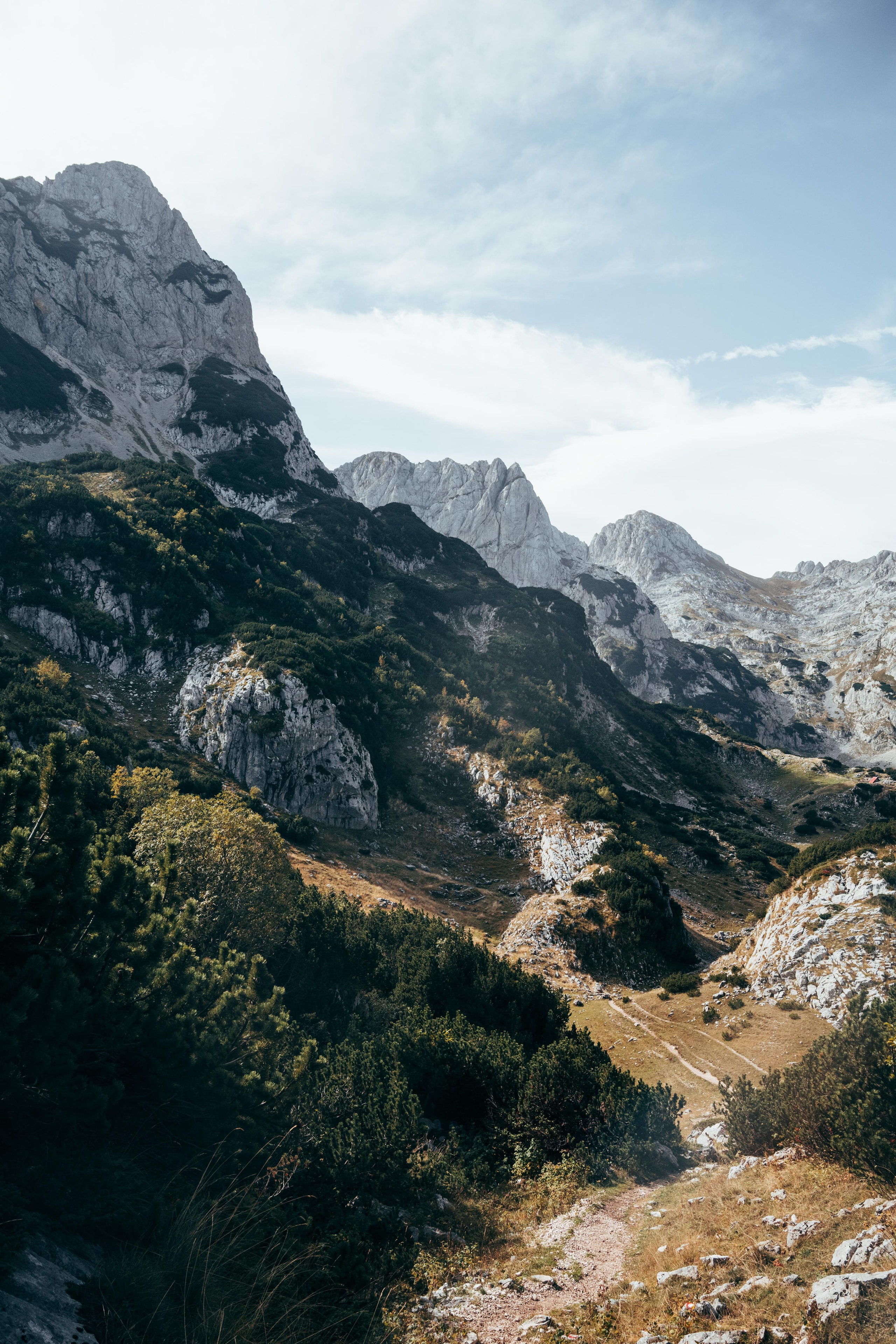 ДОЛИНА ЛОКВИЦЕ. ЧЕРНОГОРИЯ. Фотограф в Белграде Чугреева Елена
