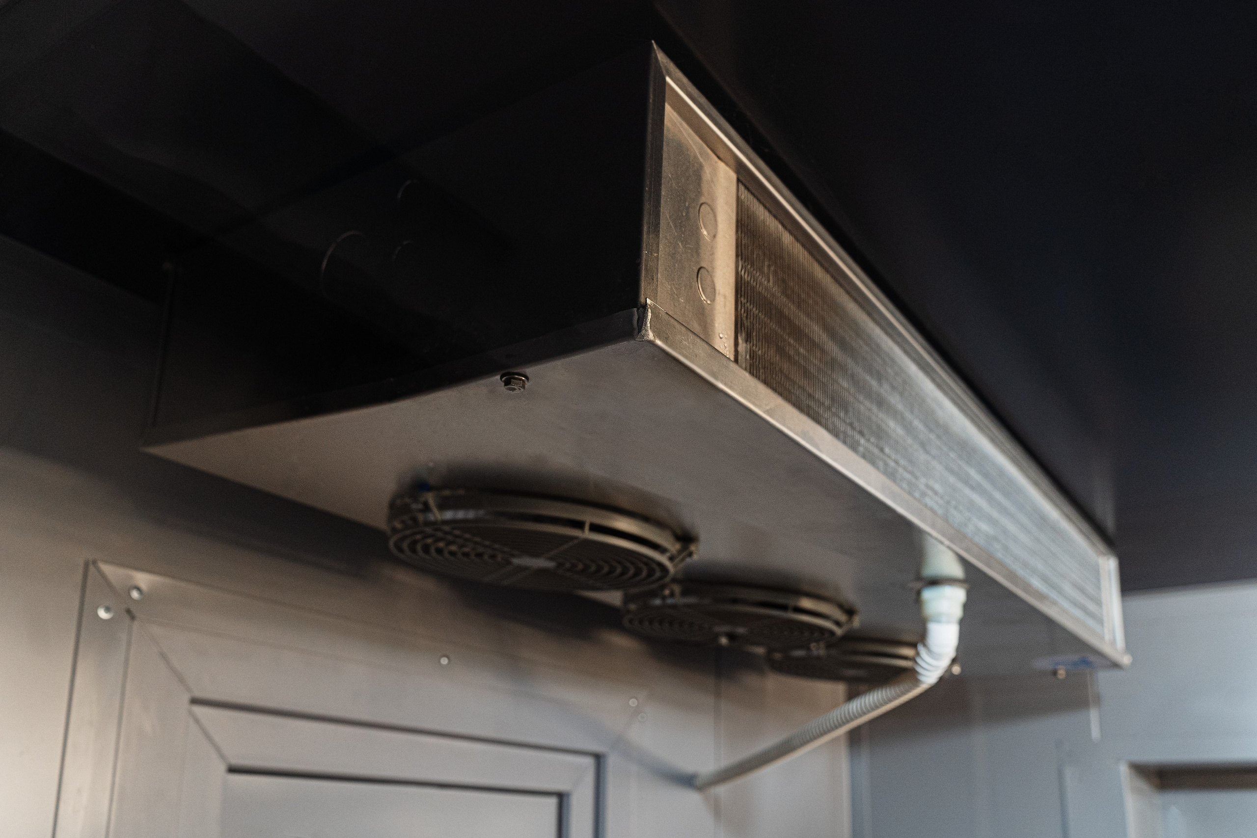 Регион холод. Елена Пашкевич, фотограф, Москва