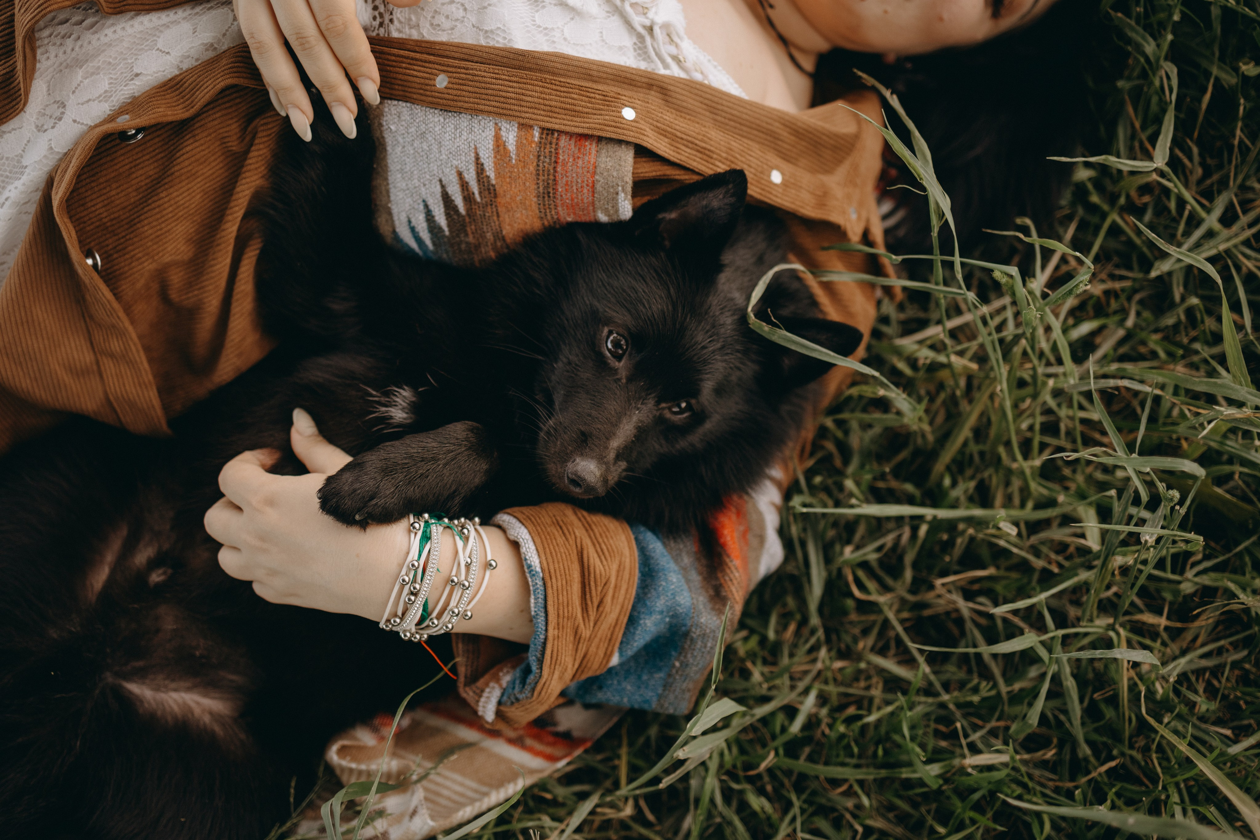 Анна и Максимус. Фотограф — Анималист | Санкт-Петербург