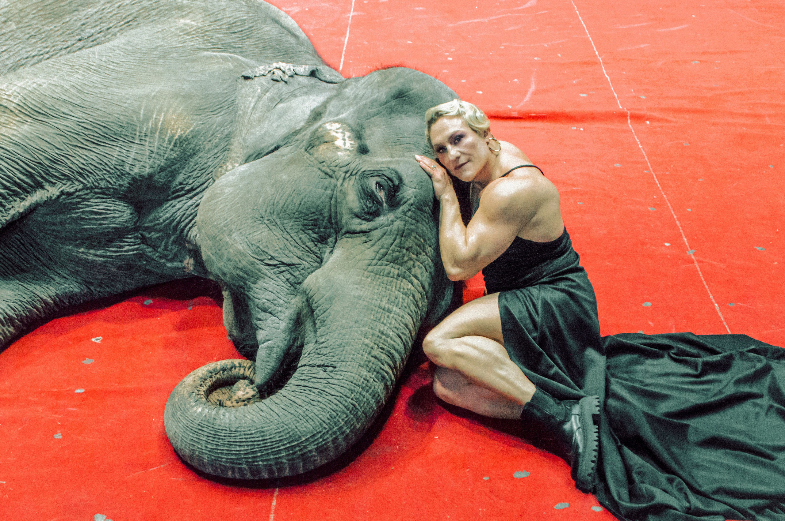 Екатерина. Главная