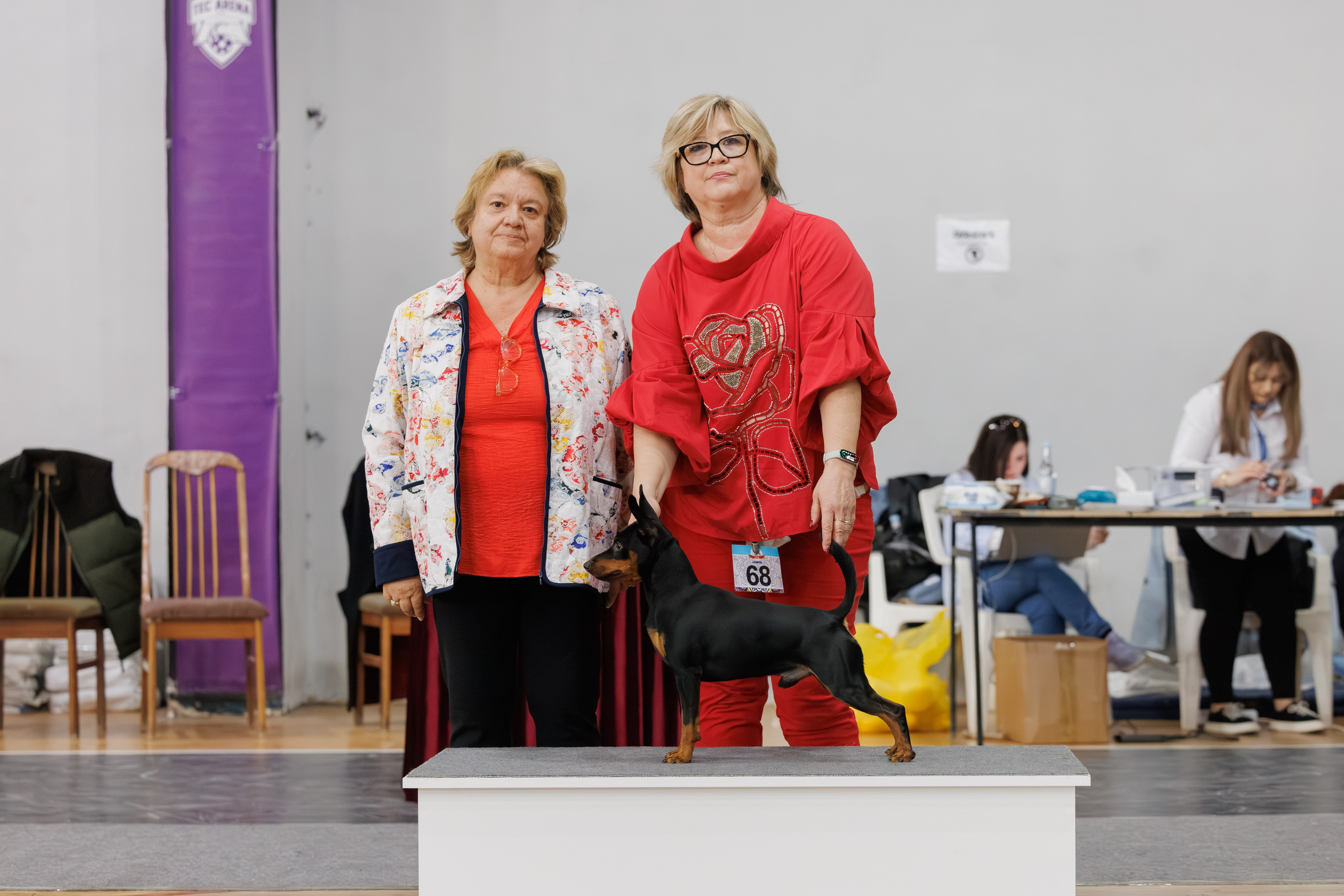 Ереван 2х CACIB 29-30.04.2025. Фотограф-анималист Юлия Германика